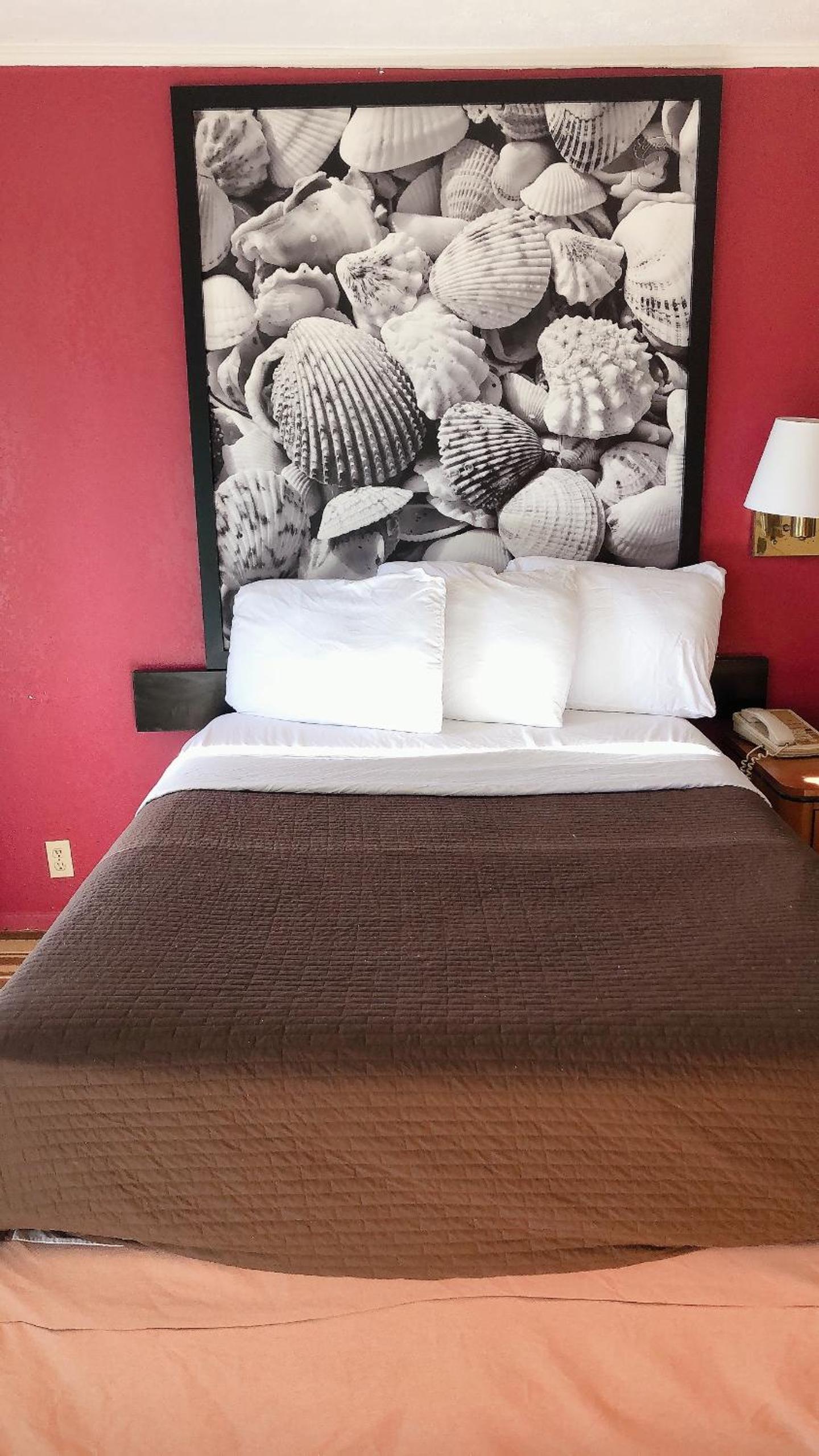 Royal Palace Inn and Suites Myrtle Beach Ocean Blvd photo 21
