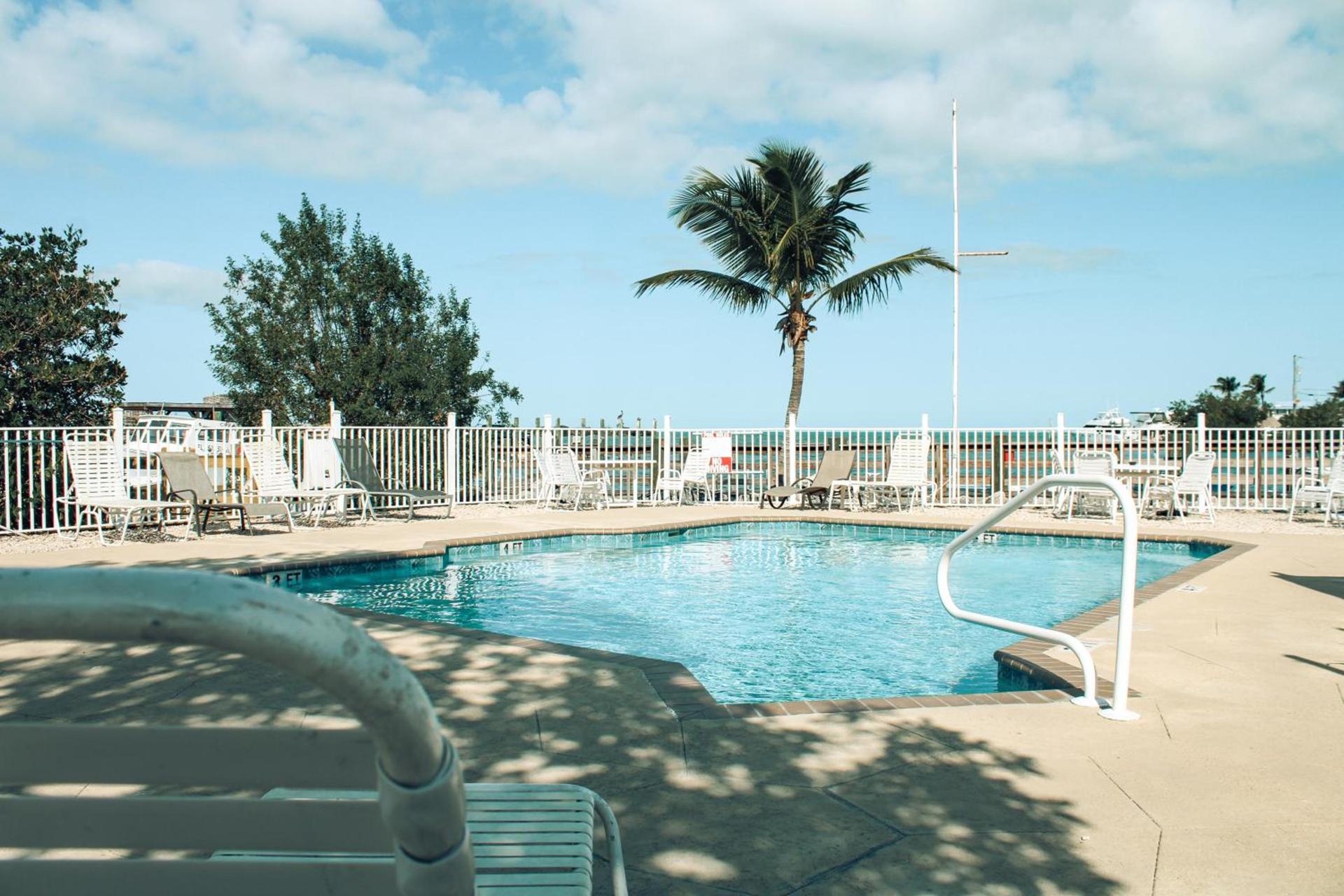 Captain Pip's Marina & Hideaway photo 4