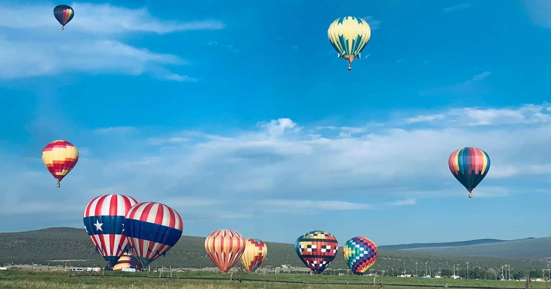 Dragonfly Motor Lodge photo 96