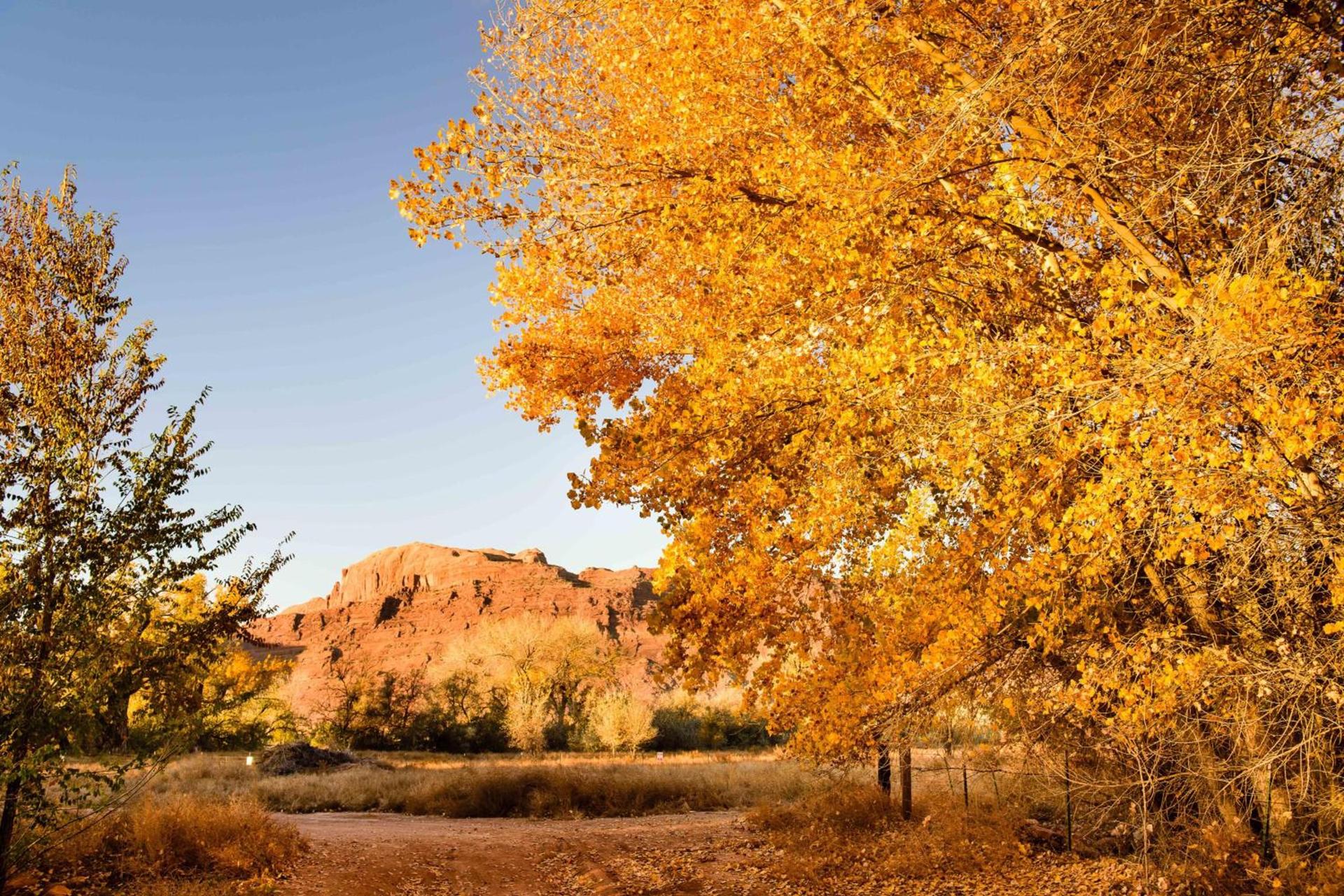 Wolfe's Hotel Moab photo 5