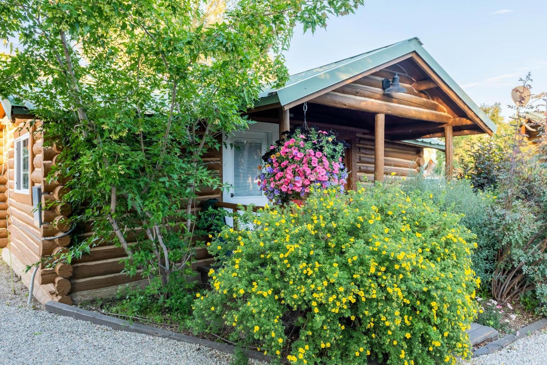 Log Cabin Motel photo 82
