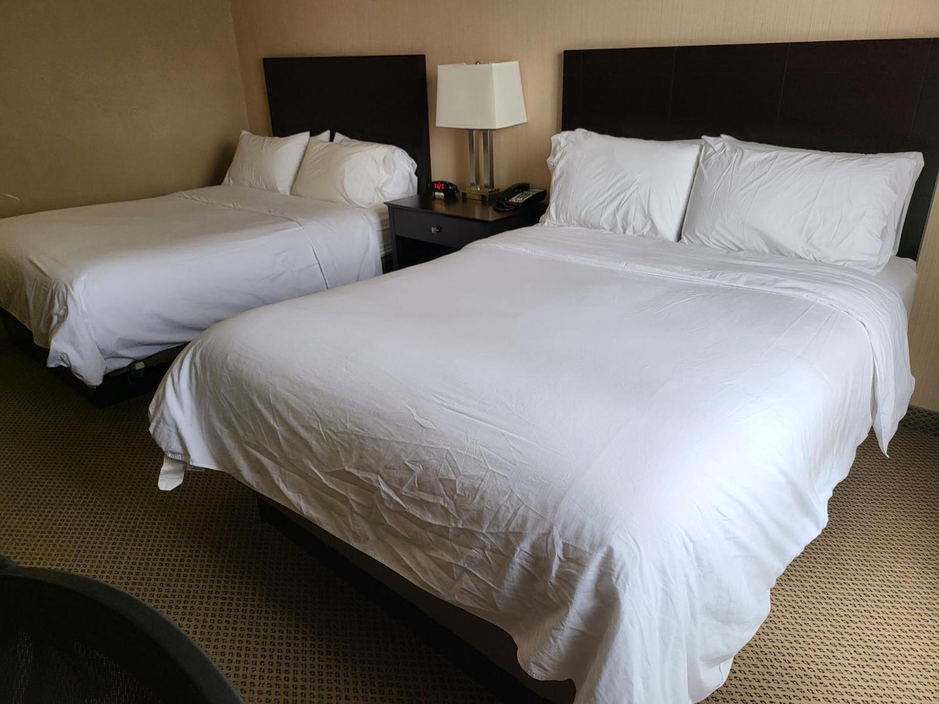 Holiday Inn Express Hotel & Suites Tipp City by IHG photo 27