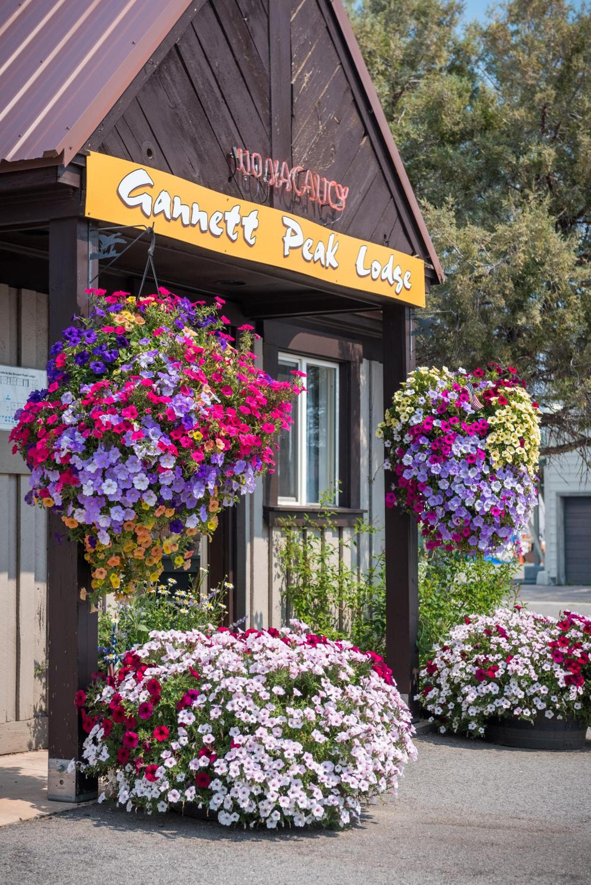 Gannett Peak Lodge photo 39