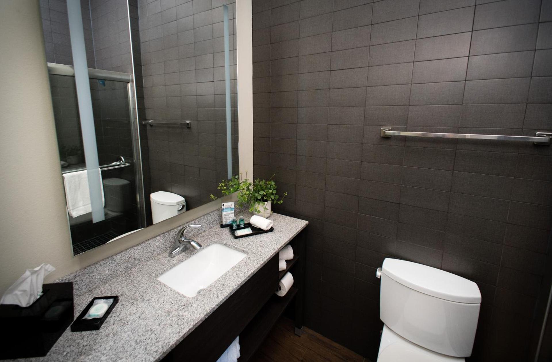Malana Hotels & Suites photo 6