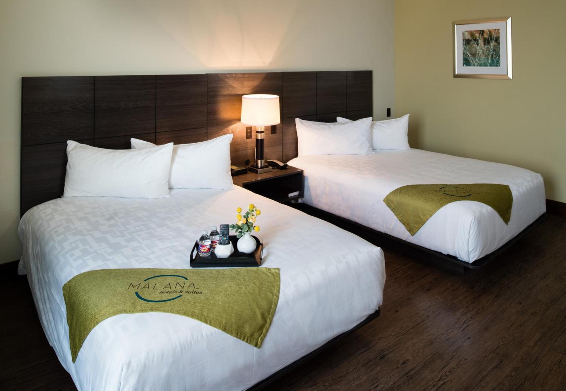 Malana Hotels & Suites photo 2