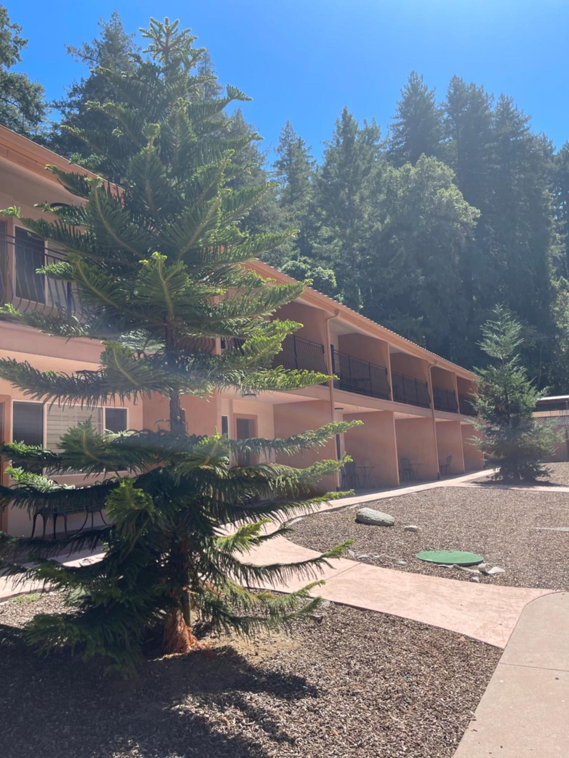 The Historic Brookdale Lodge, Santa Cruz Mountains photo 16