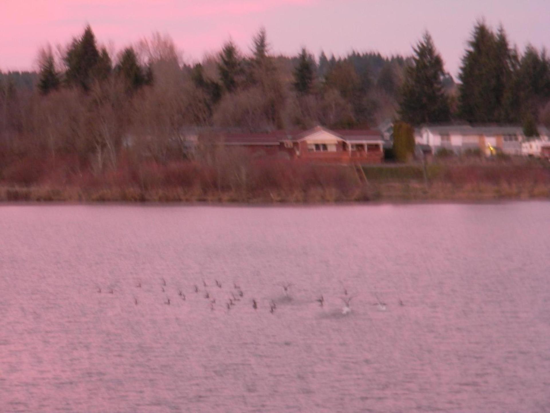 Lakeview Inn Centralia photo 12
