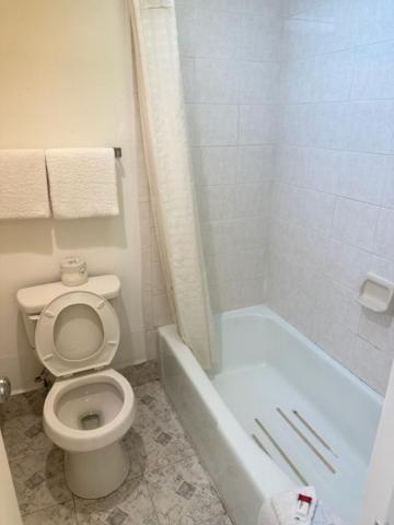 Executive Inn Mercedes Weslaco photo 13