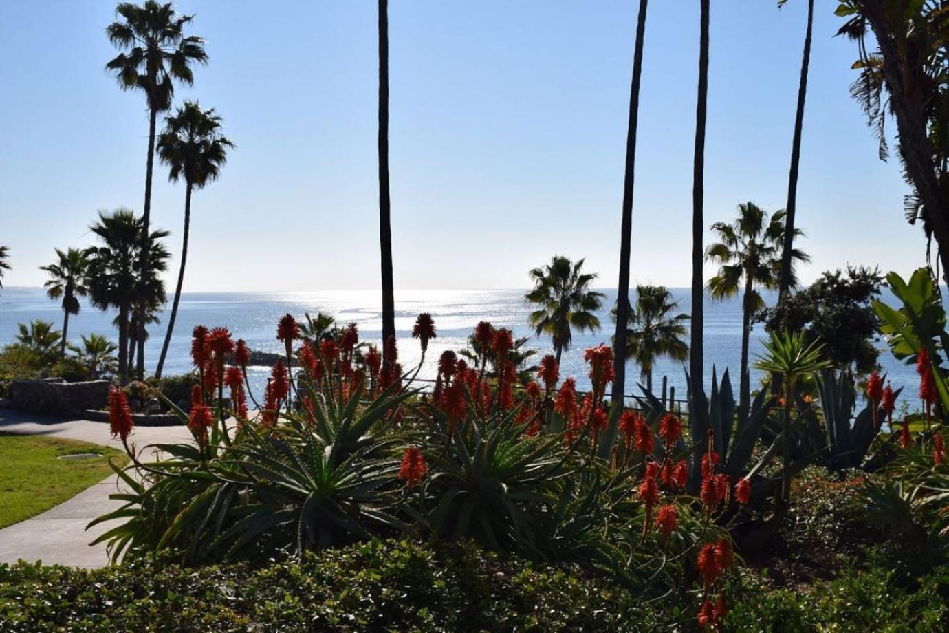 Laguna Shores Studio Suites photo 4