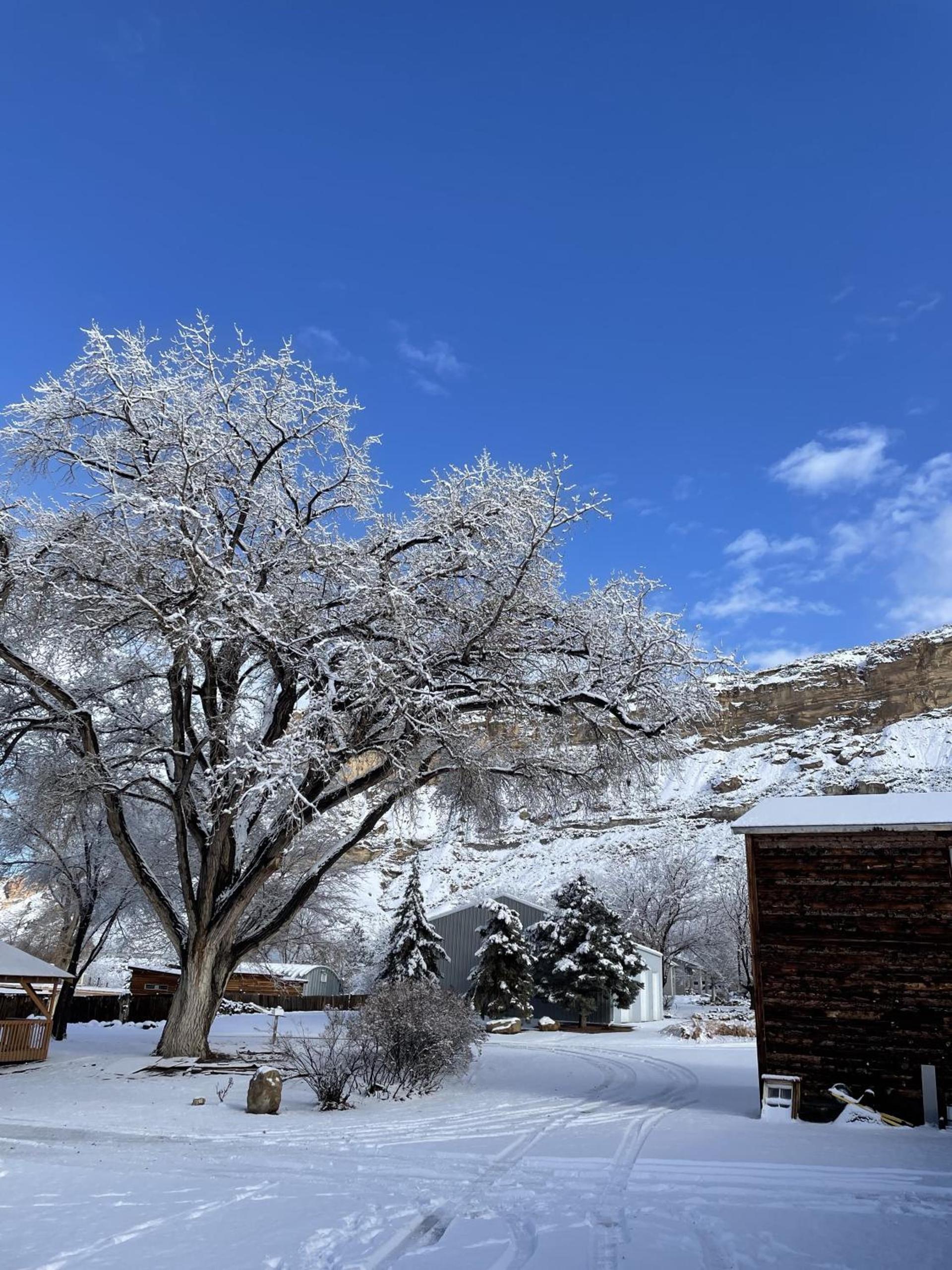 The Homestead photo 18