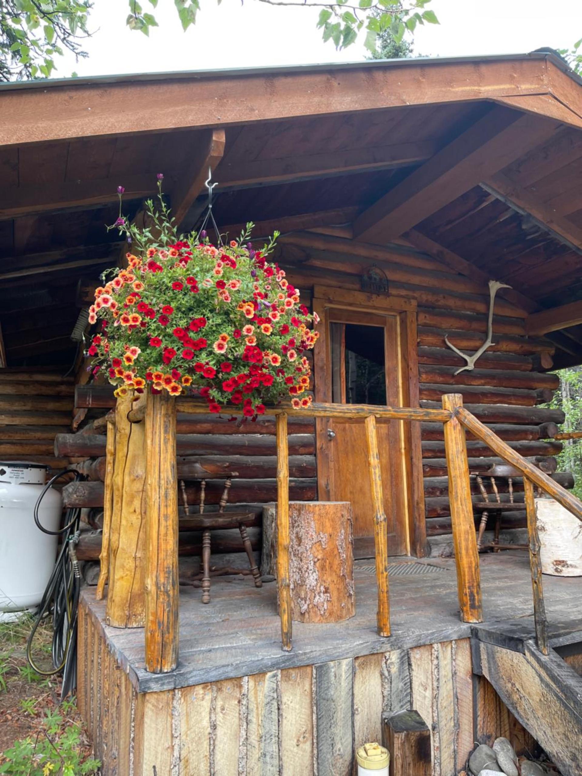 Carlo Creek Cabins photo 75