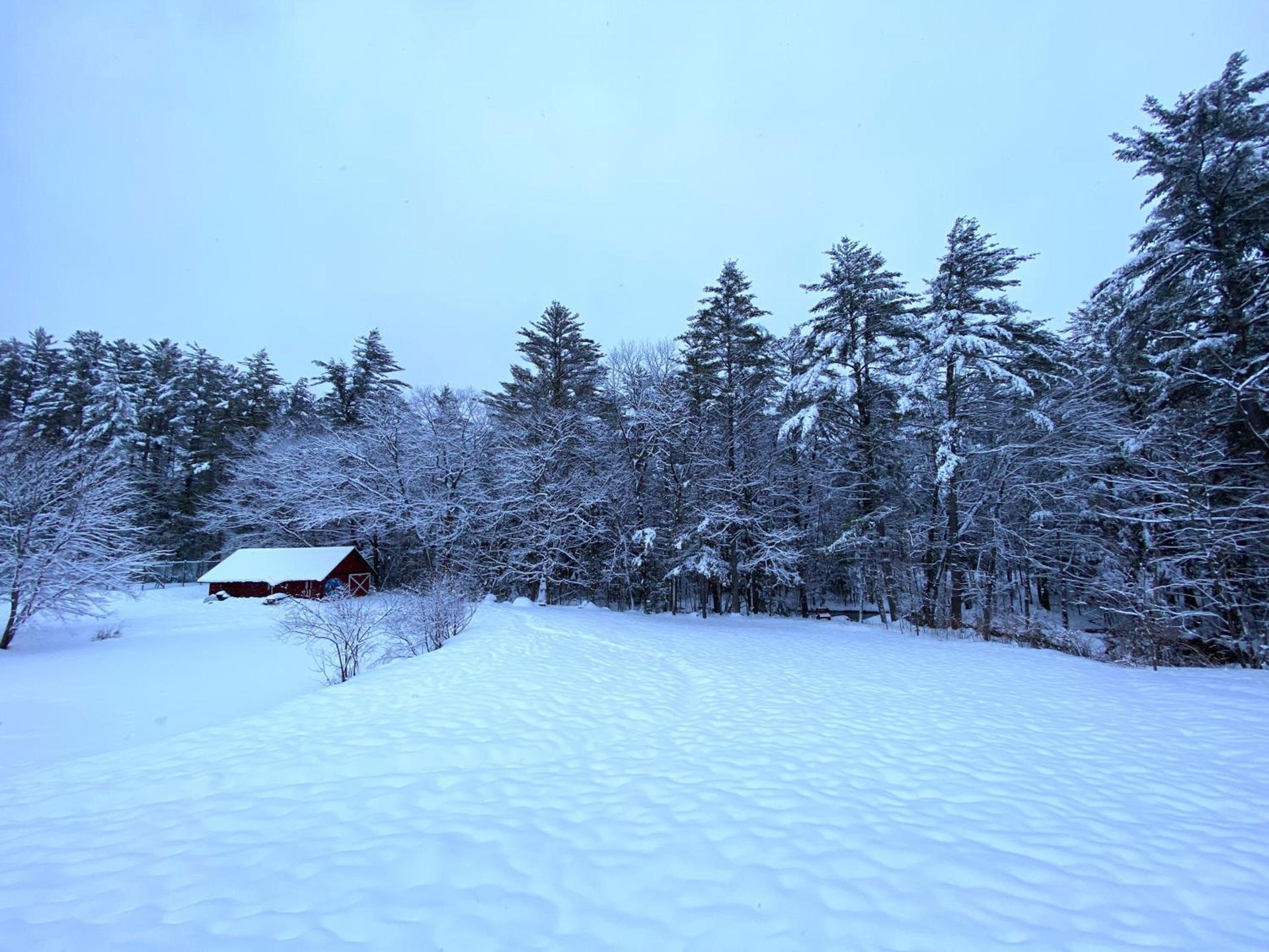 Cranmore Mountain Lodge Bed & Breakfast photo 22