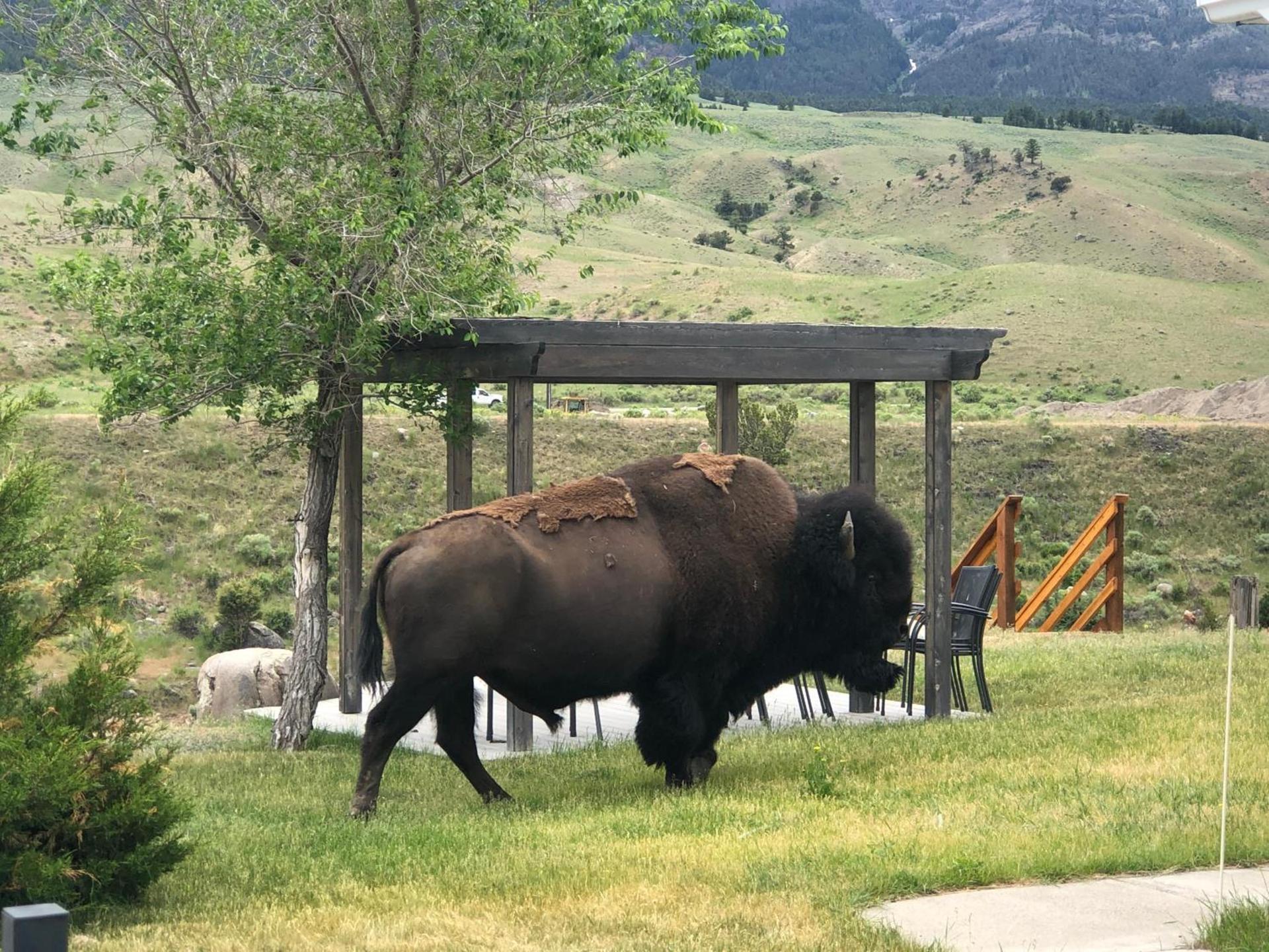 Yellowstone Gateway Inn photo 41