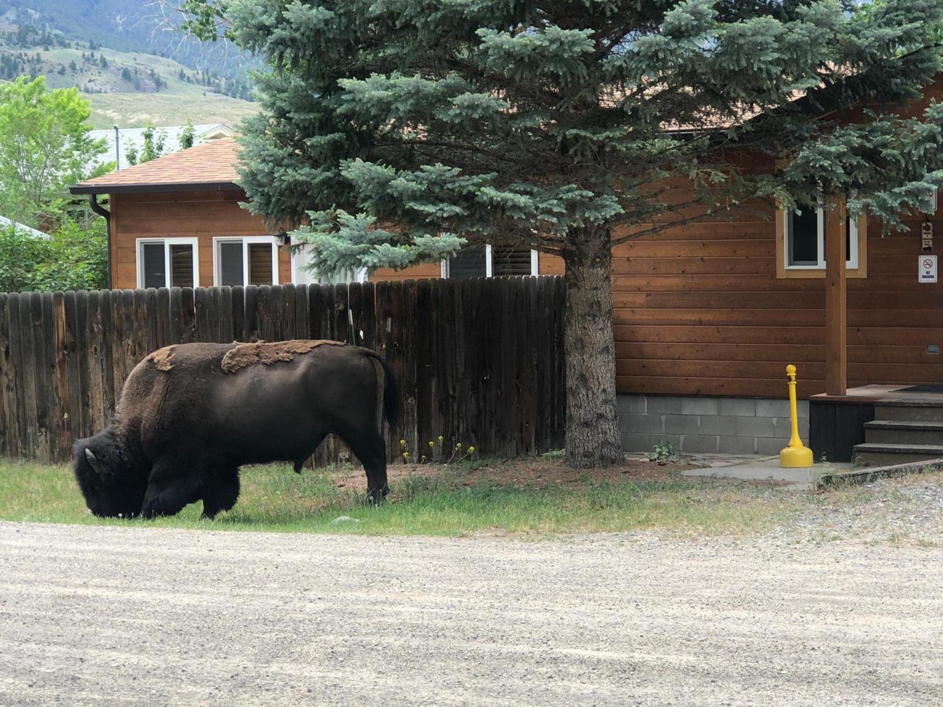 Yellowstone Gateway Inn photo 23