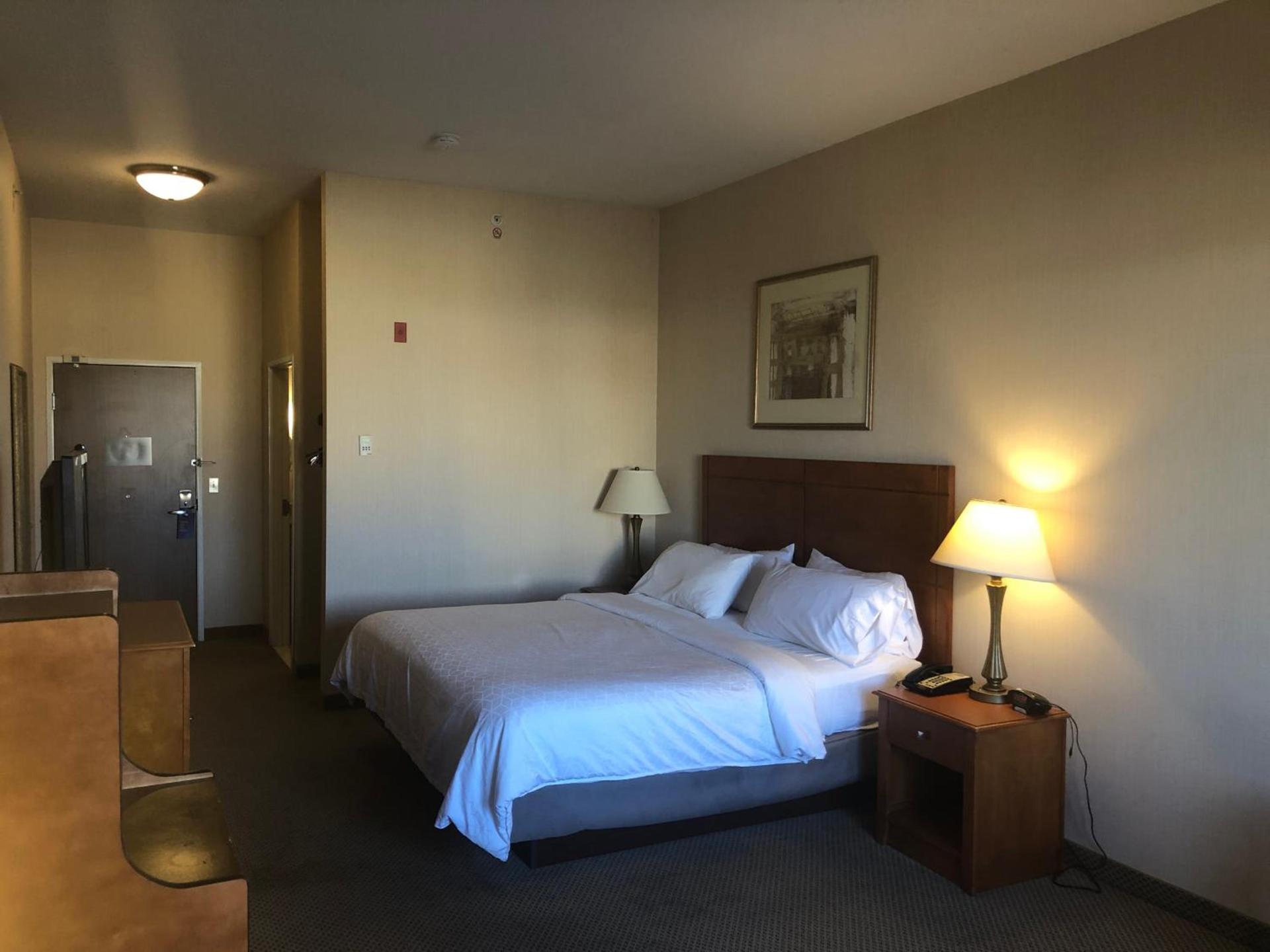 Holiday Inn Express Hotel & Suites Lansing-Dimondale by IHG photo 16