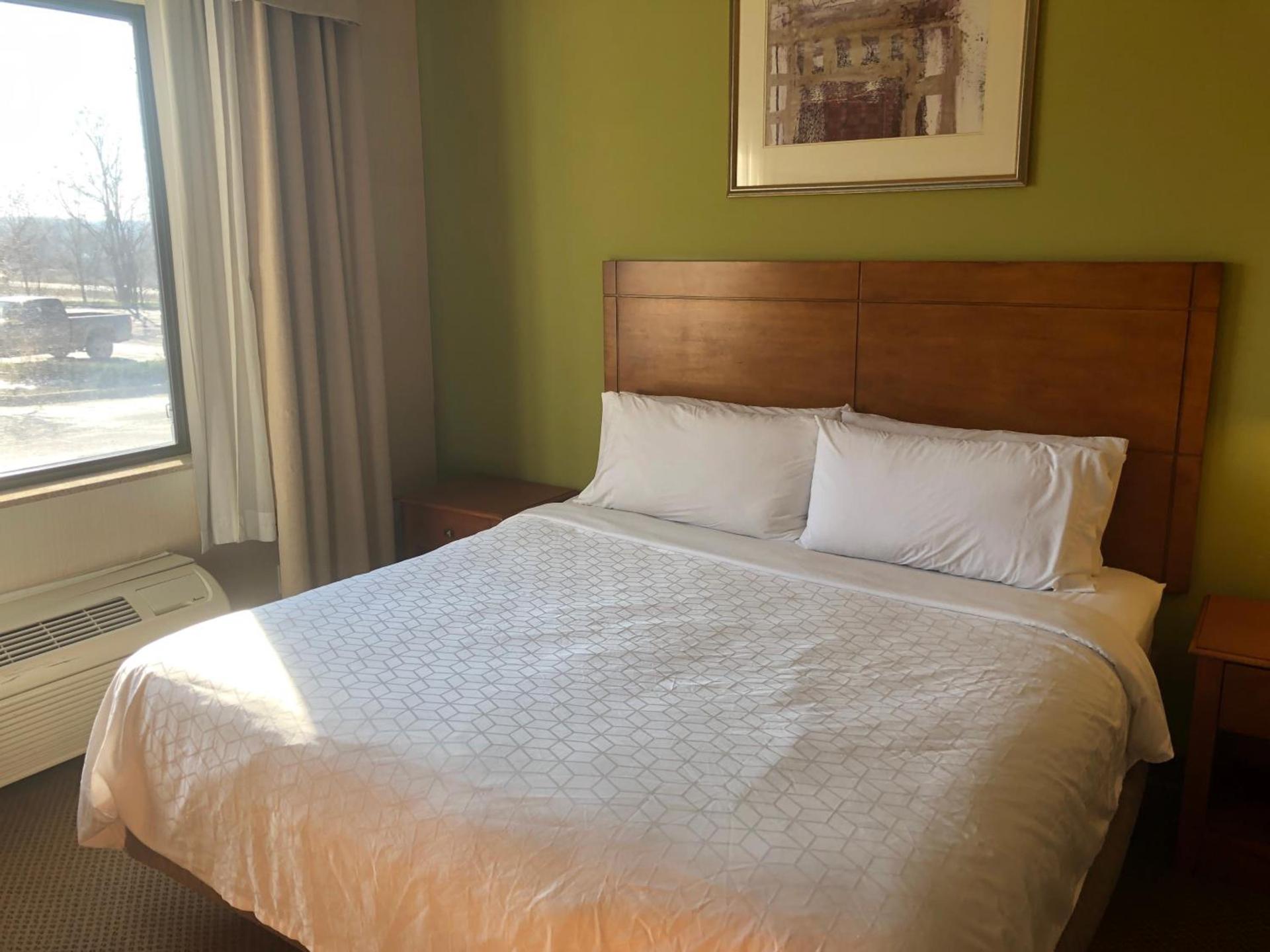 Holiday Inn Express Hotel & Suites Lansing-Dimondale by IHG photo 15