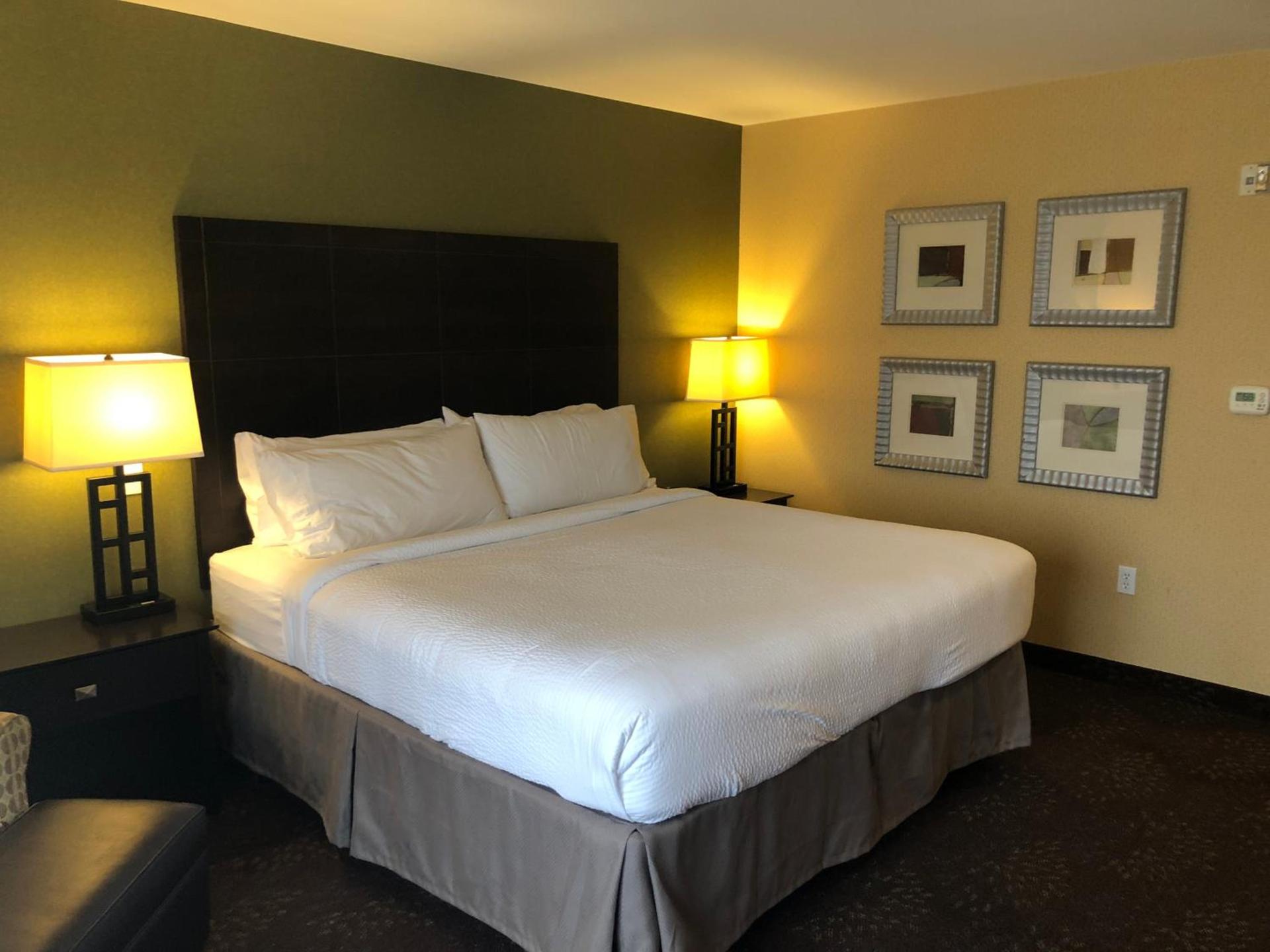 Holiday Inn Express Hotel & Suites Lansing-Dimondale by IHG photo 14