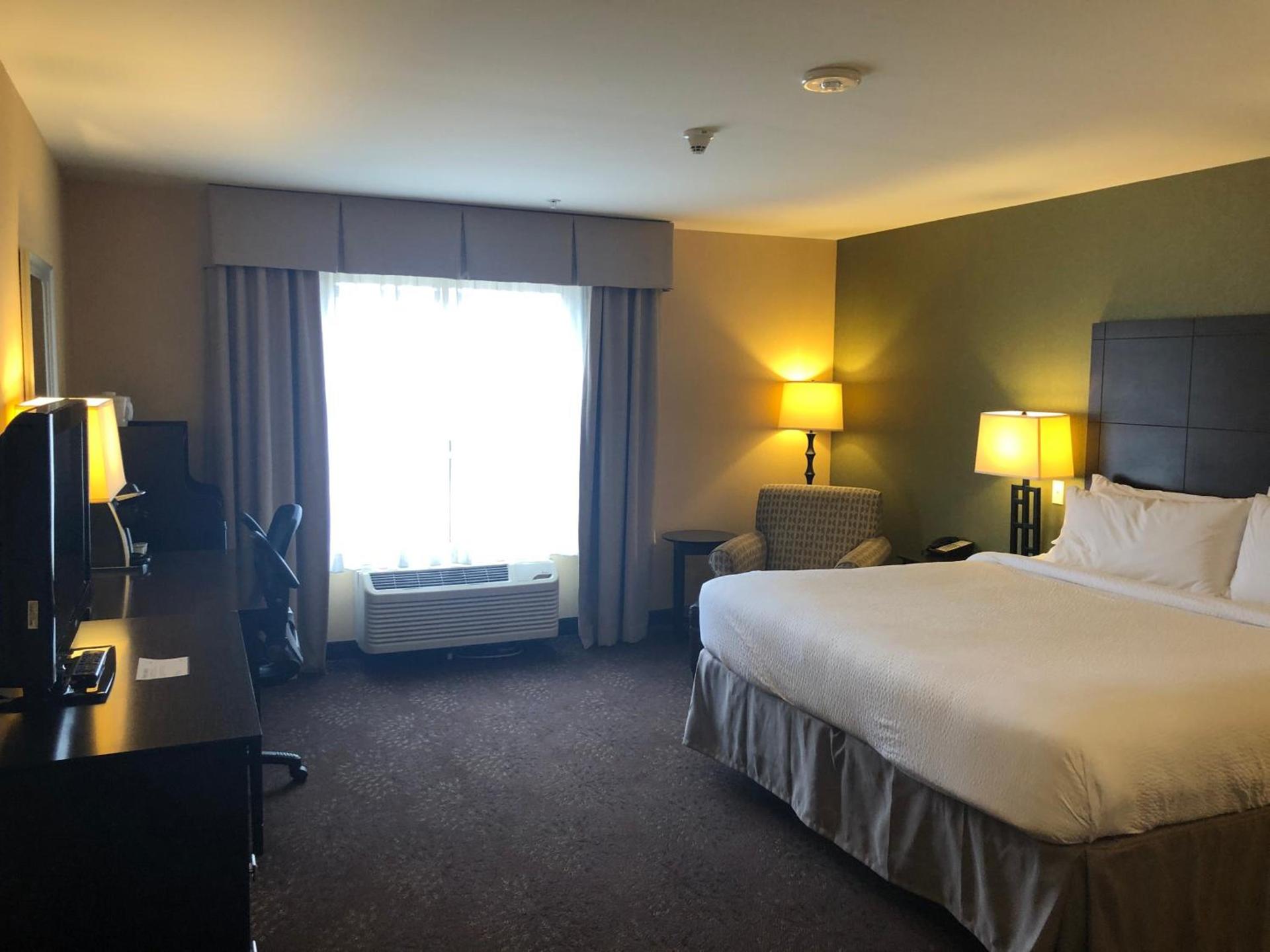 Holiday Inn Express Hotel & Suites Lansing-Dimondale by IHG photo 18