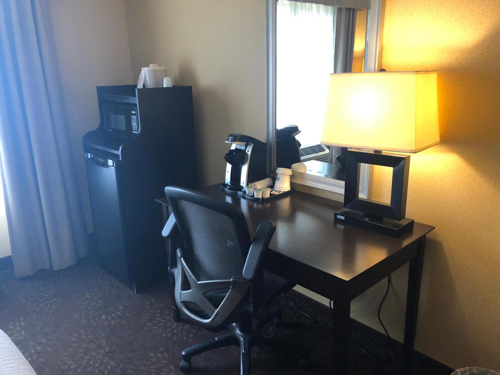 Holiday Inn Express Hotel & Suites Lansing-Dimondale by IHG photo 21
