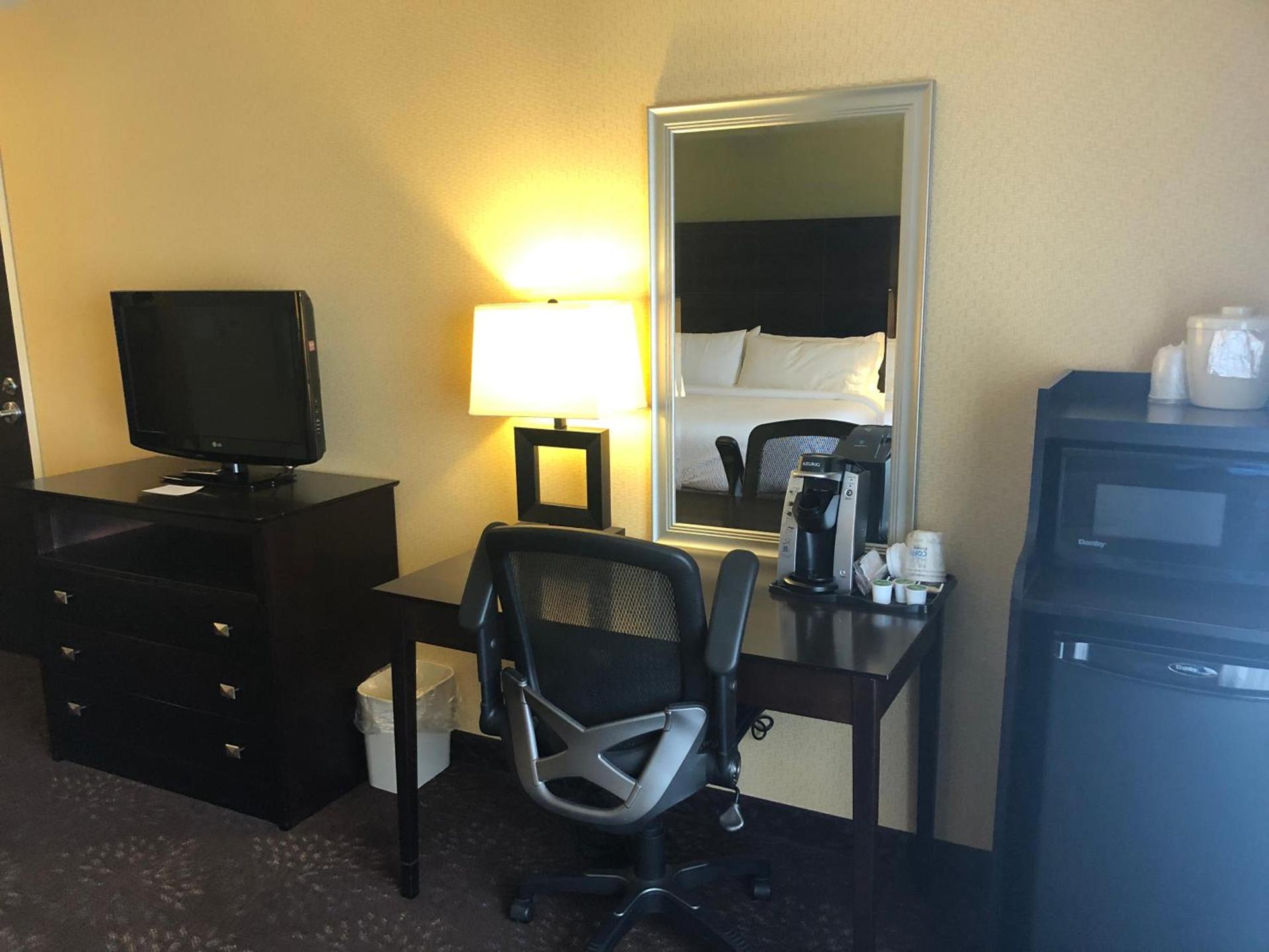 Holiday Inn Express Hotel & Suites Lansing-Dimondale by IHG photo 20