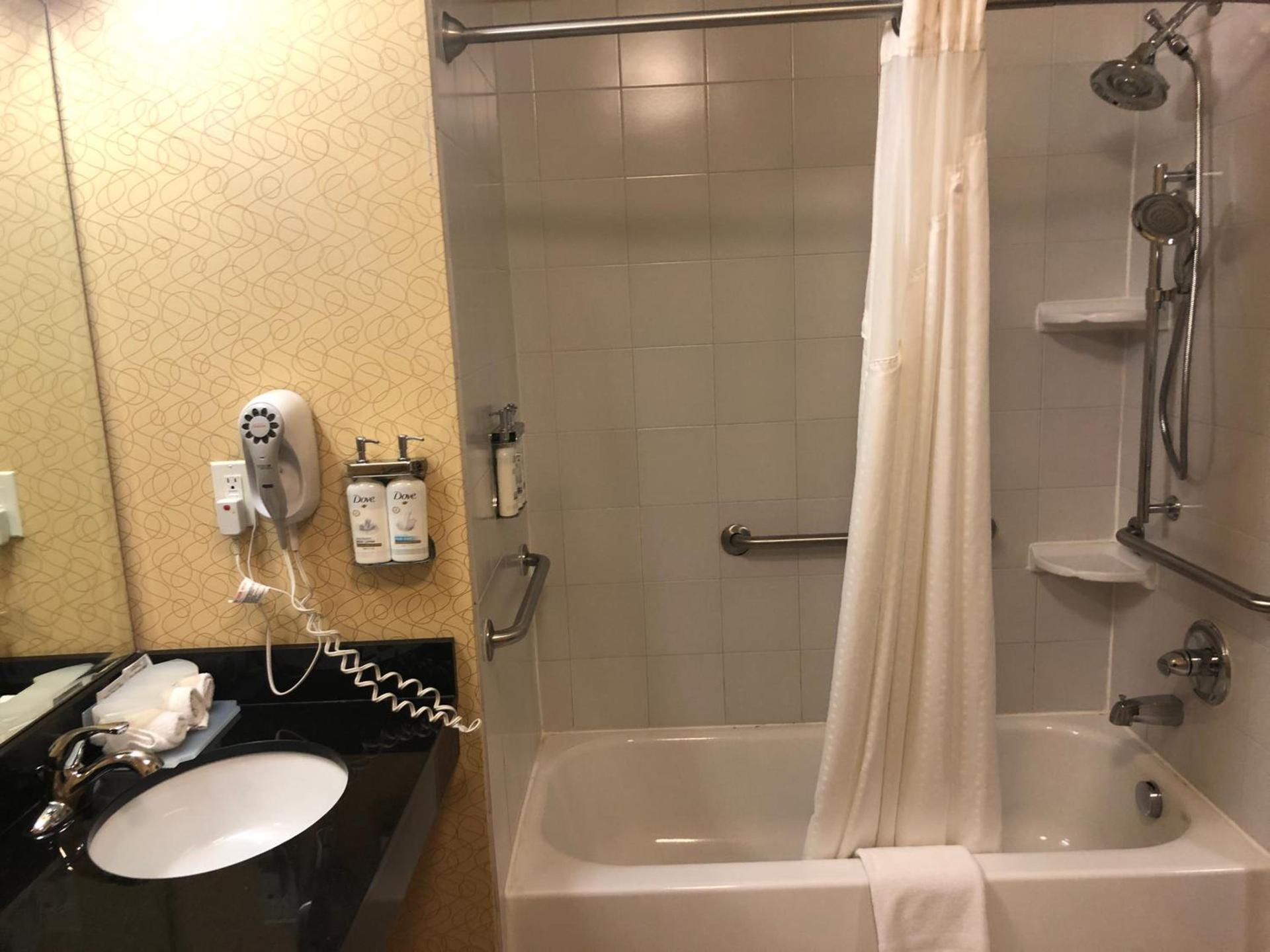 Holiday Inn Express Hotel & Suites Lansing-Dimondale by IHG photo 26