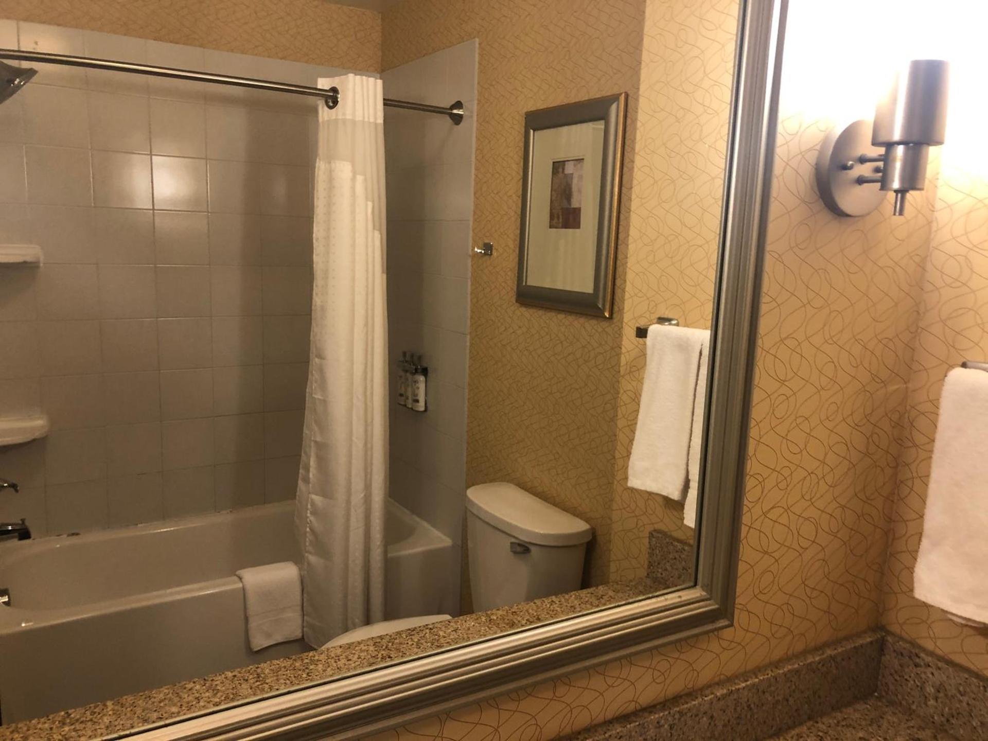 Holiday Inn Express Hotel & Suites Lansing-Dimondale by IHG photo 25