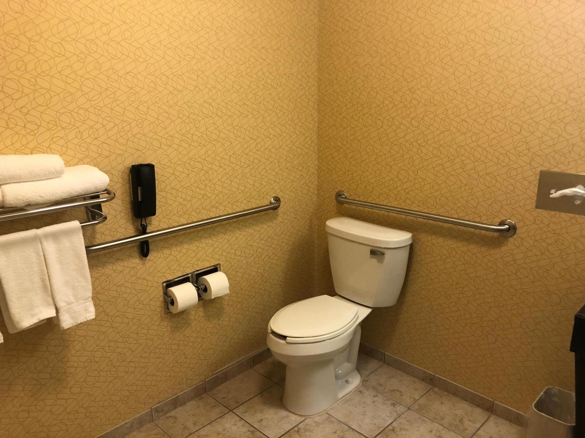 Holiday Inn Express Hotel & Suites Lansing-Dimondale by IHG photo 23