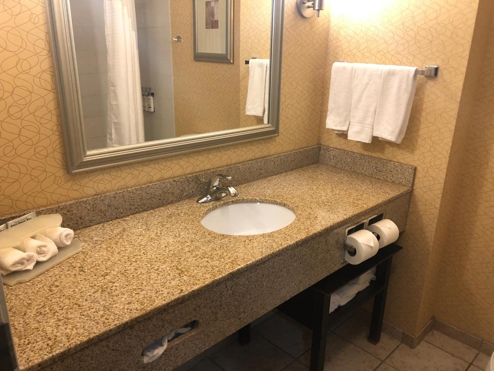 Holiday Inn Express Hotel & Suites Lansing-Dimondale by IHG photo 29