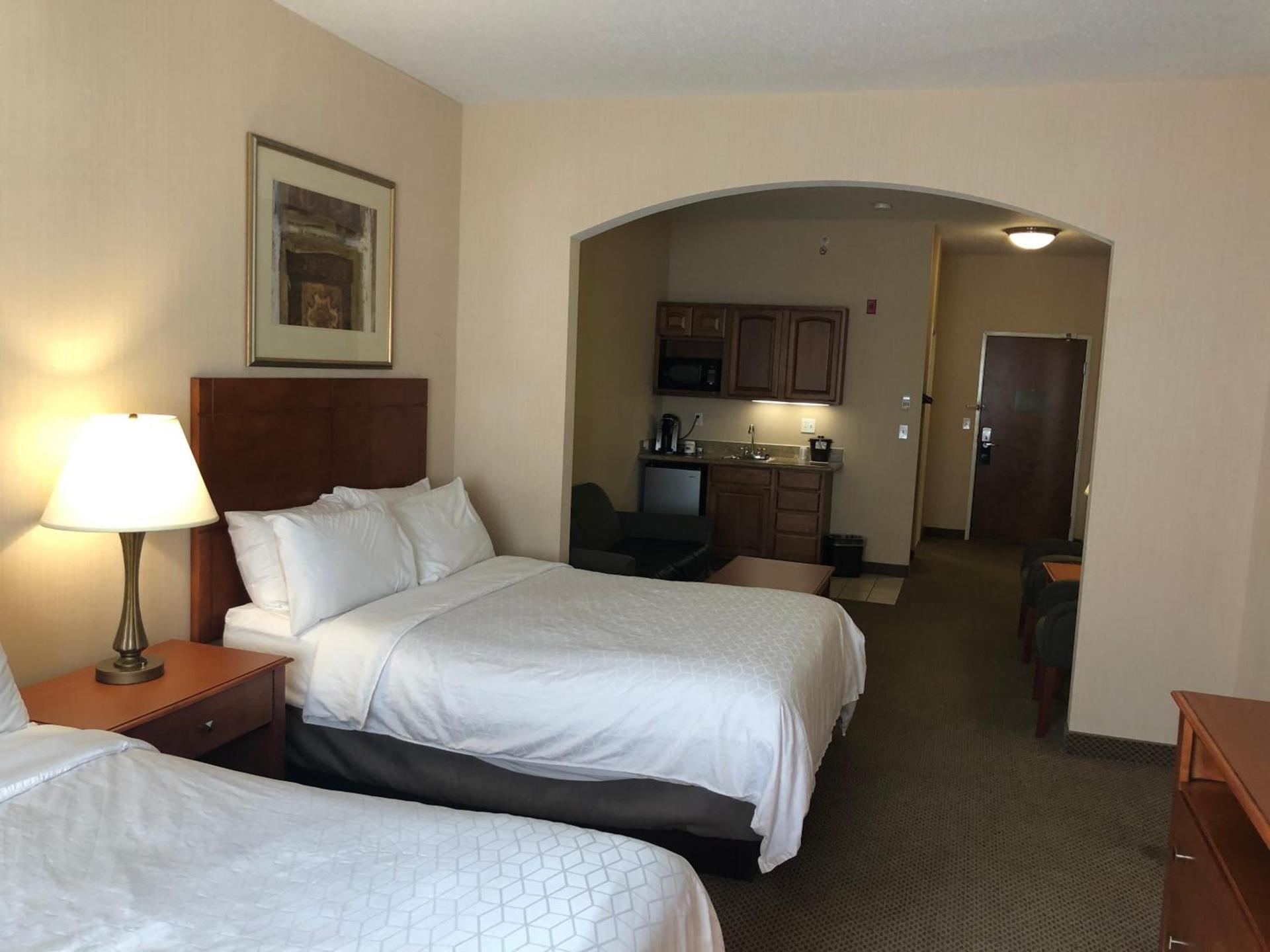 Holiday Inn Express Hotel & Suites Lansing-Dimondale by IHG photo 47