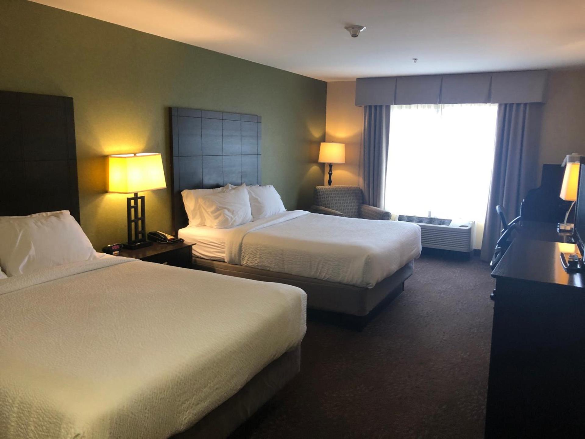 Holiday Inn Express Hotel & Suites Lansing-Dimondale by IHG photo 32