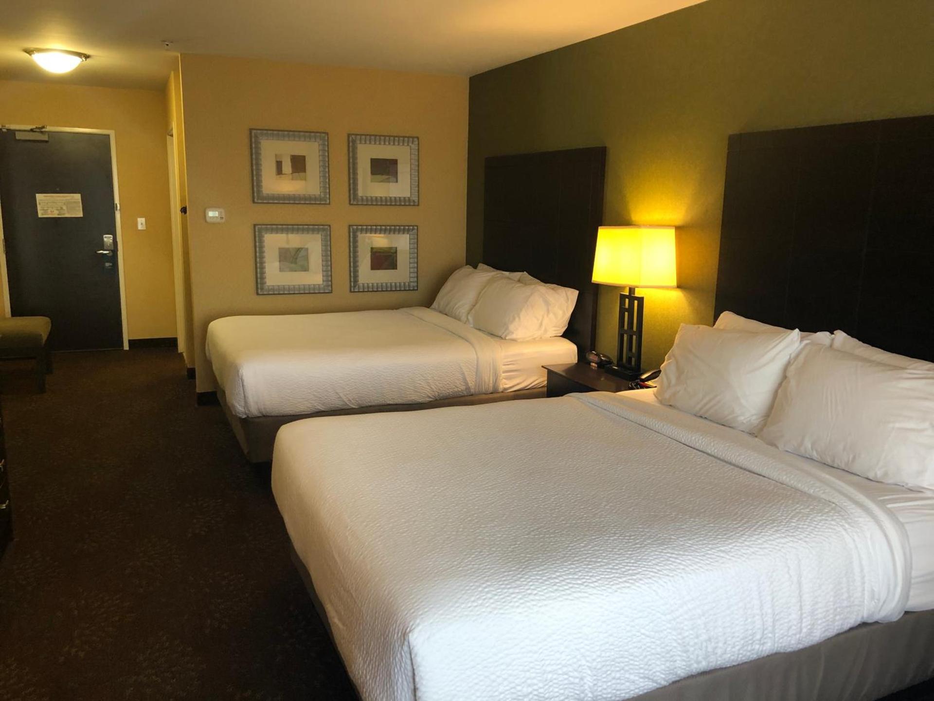 Holiday Inn Express Hotel & Suites Lansing-Dimondale by IHG photo 41