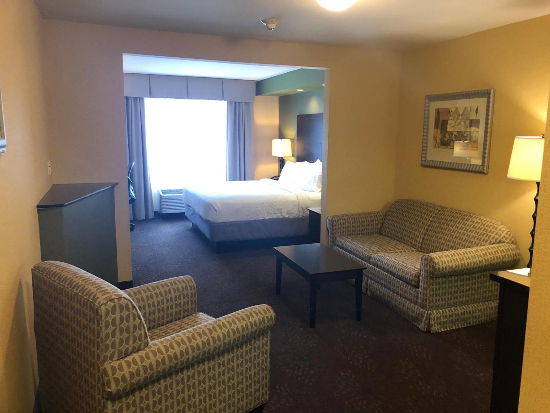 Holiday Inn Express Hotel & Suites Lansing-Dimondale by IHG photo 44