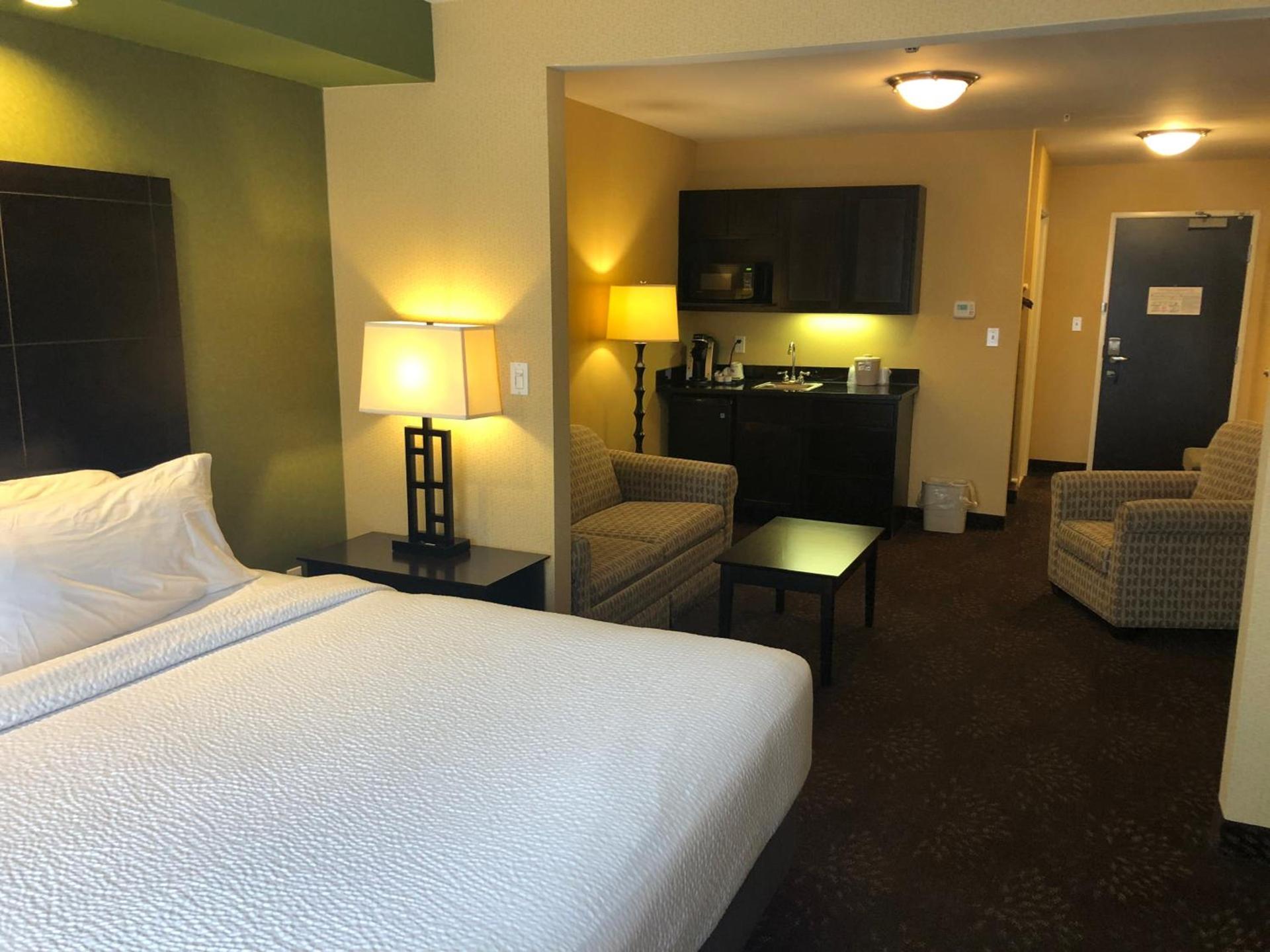 Holiday Inn Express Hotel & Suites Lansing-Dimondale by IHG photo 46