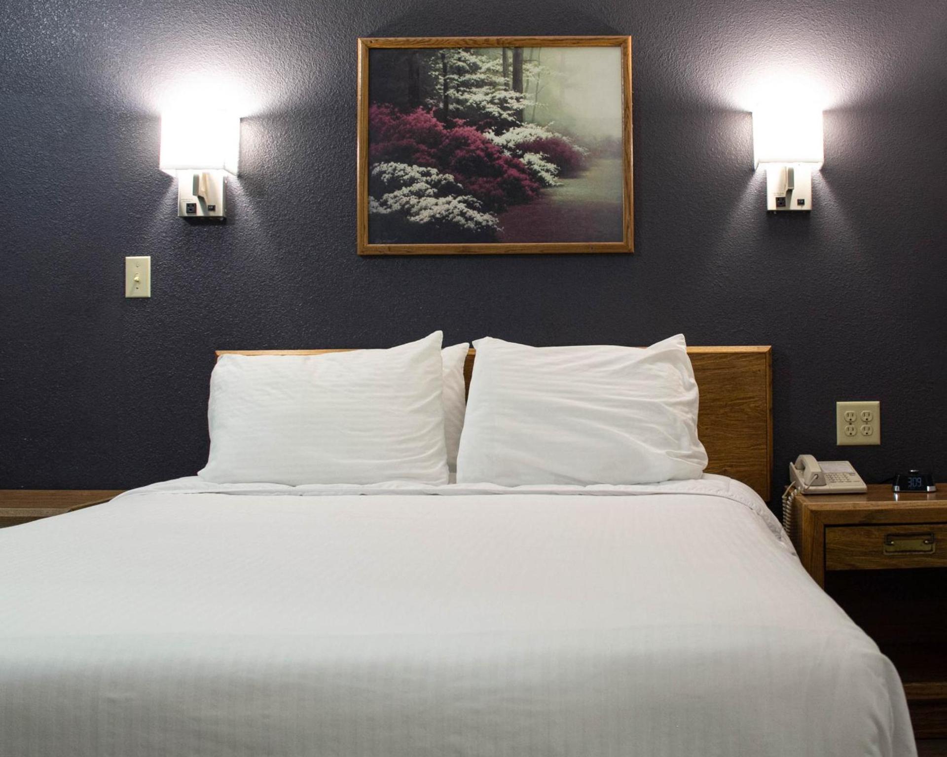 New Victorian Inn & Suites-Norfolk photo 21