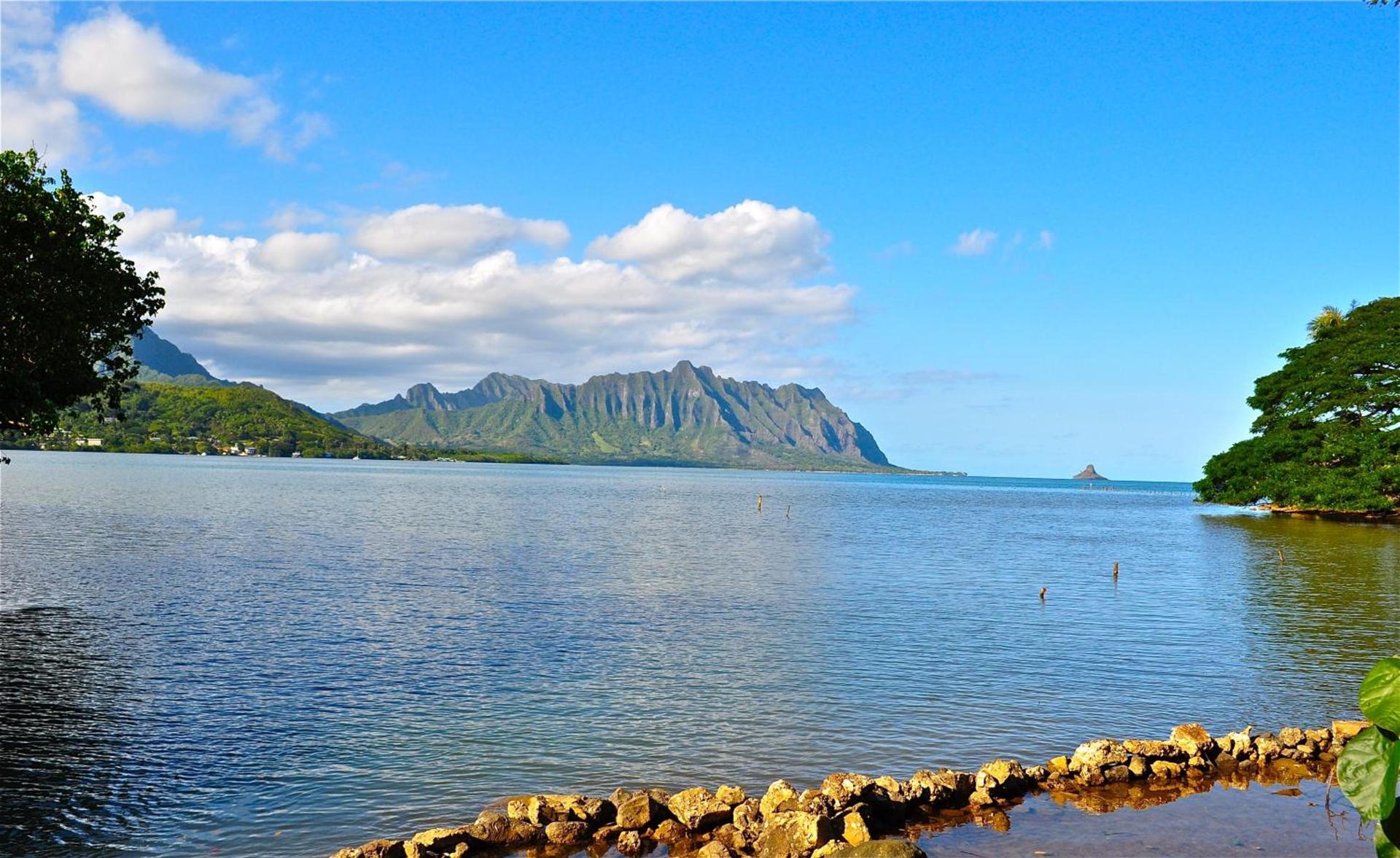 Paradise Bay Resort photo 6