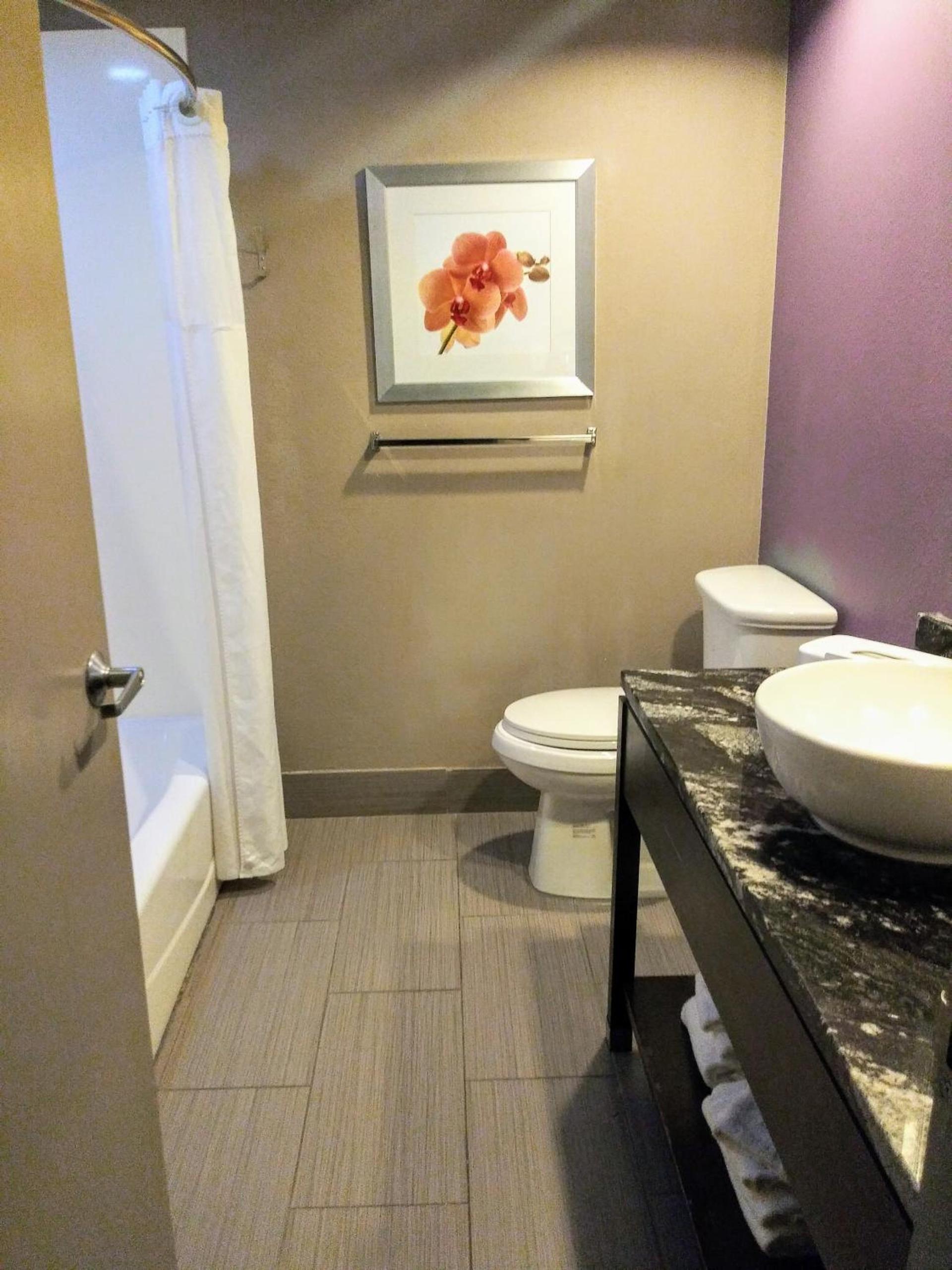 Quality Suites Fort Myers I-75 photo 33