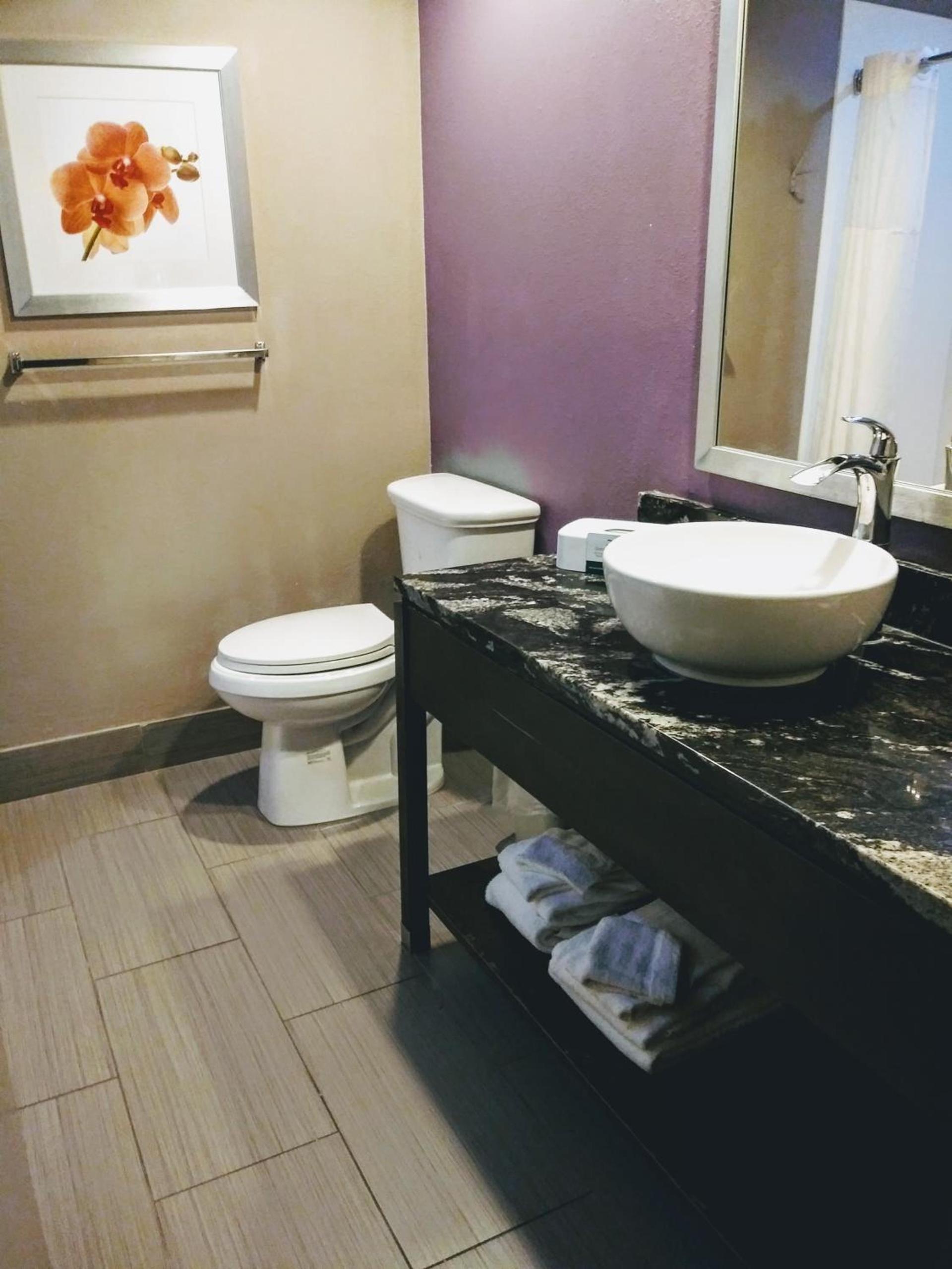 Quality Suites Fort Myers I-75 photo 34