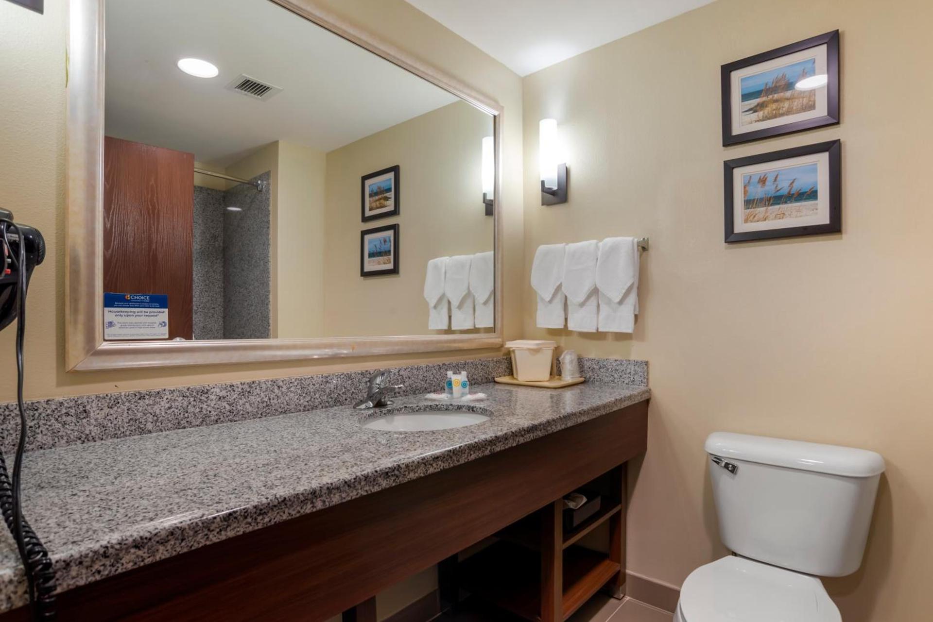Comfort Suites Foley - North Gulf Shores photo 19