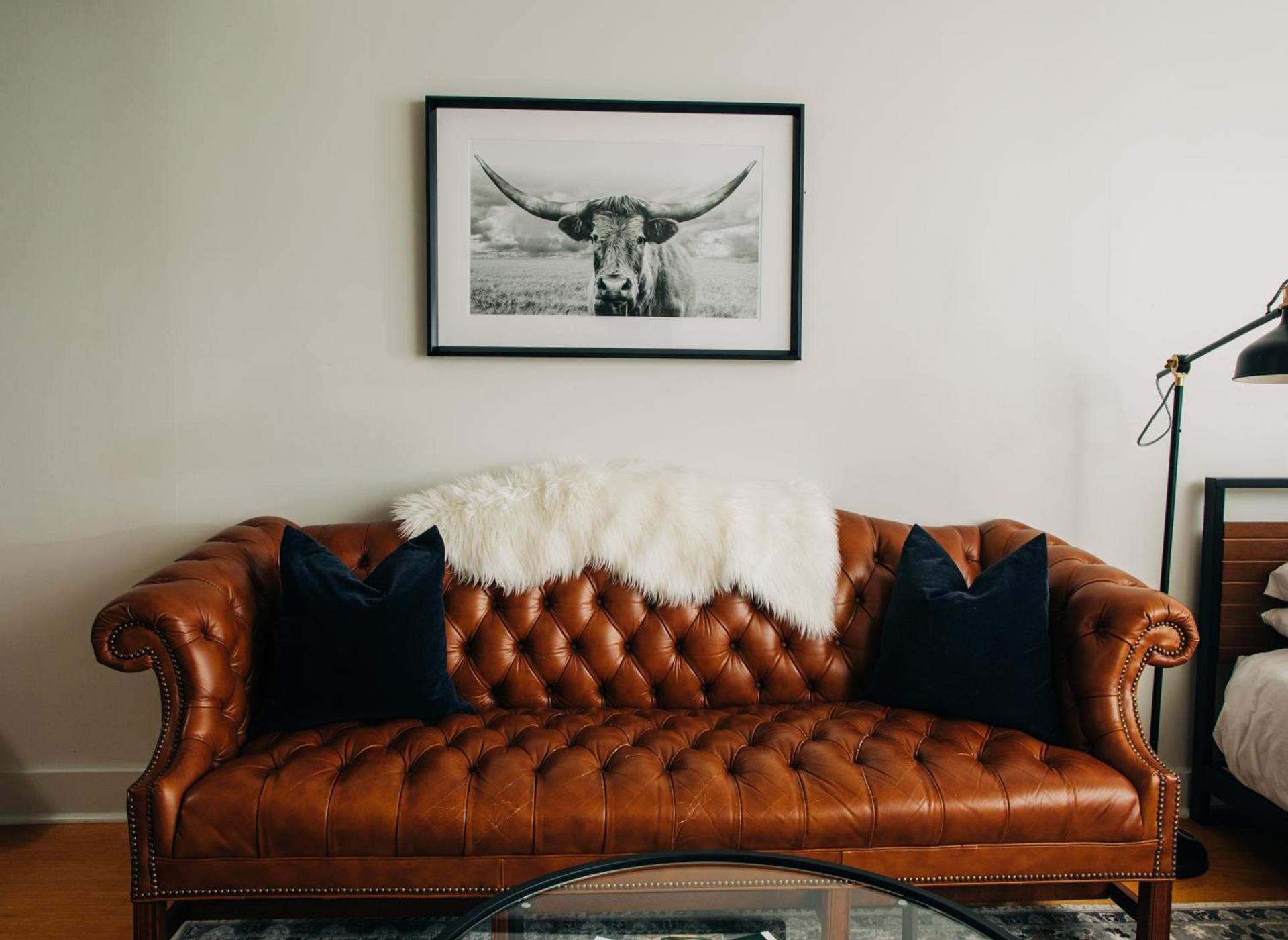 Stellar Suites photo 31