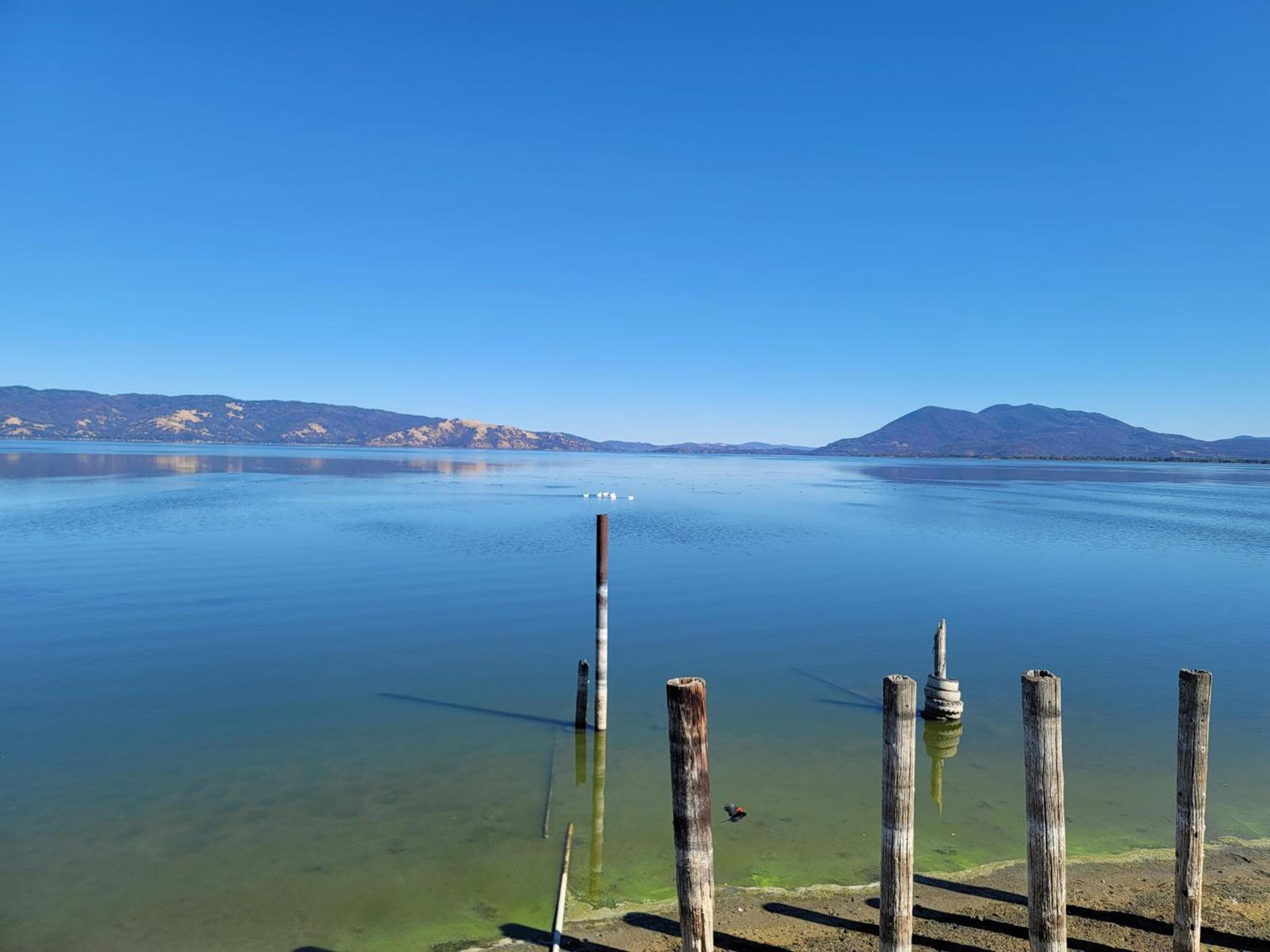 Lake Front Resort (LP#7) photo 25