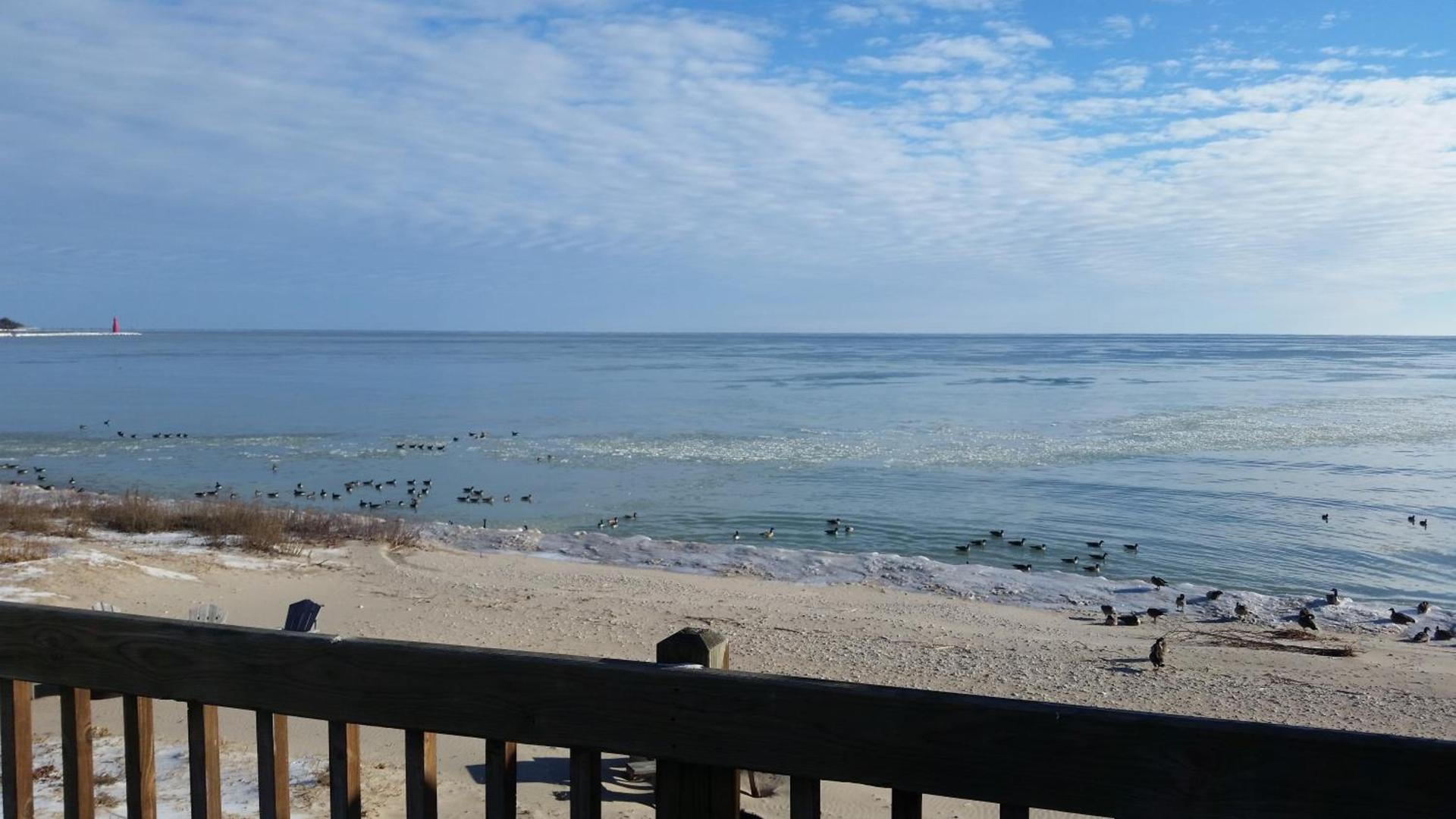 Algoma Beach Motel photo 88