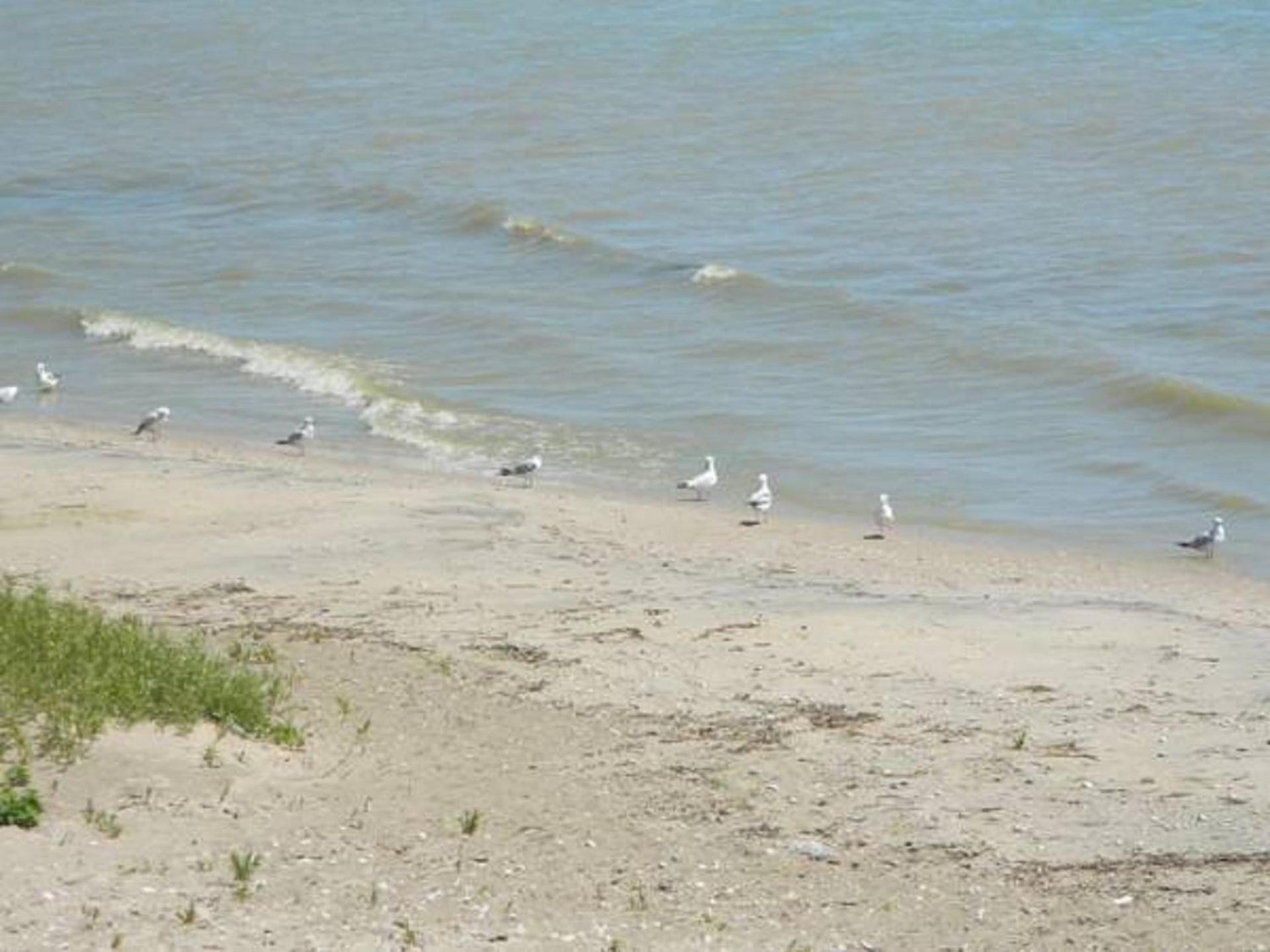 Algoma Beach Motel photo 96