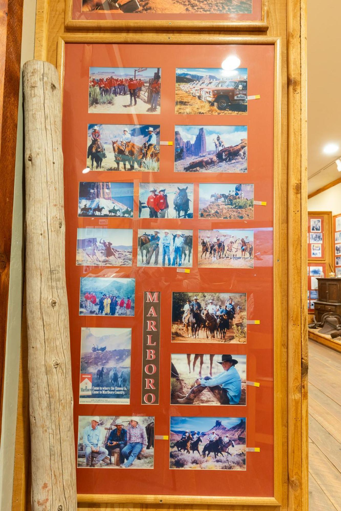 Red Cliffs Lodge Moab photo 50