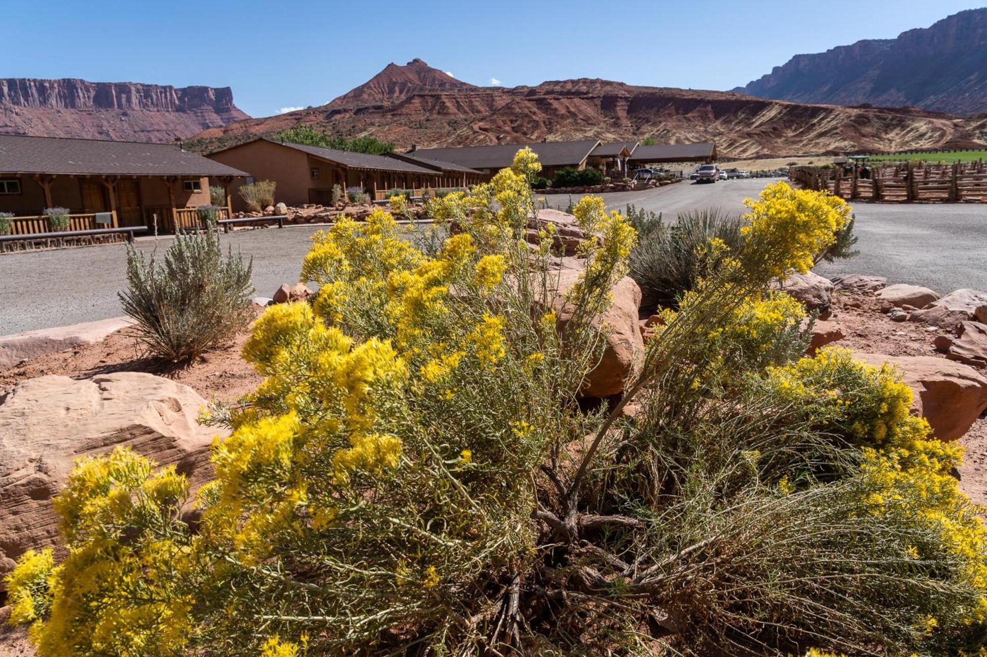 Red Cliffs Lodge Moab photo 60