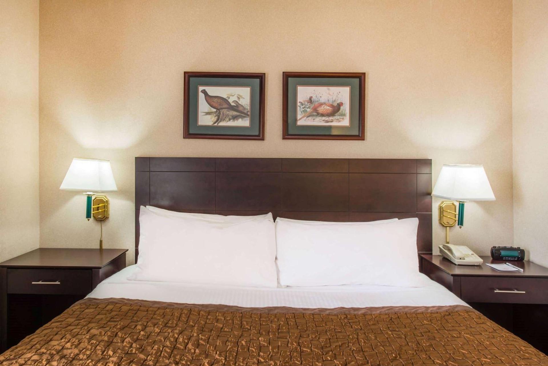 Hawthorn Extended Stay by Wyndham El Paso photo 8
