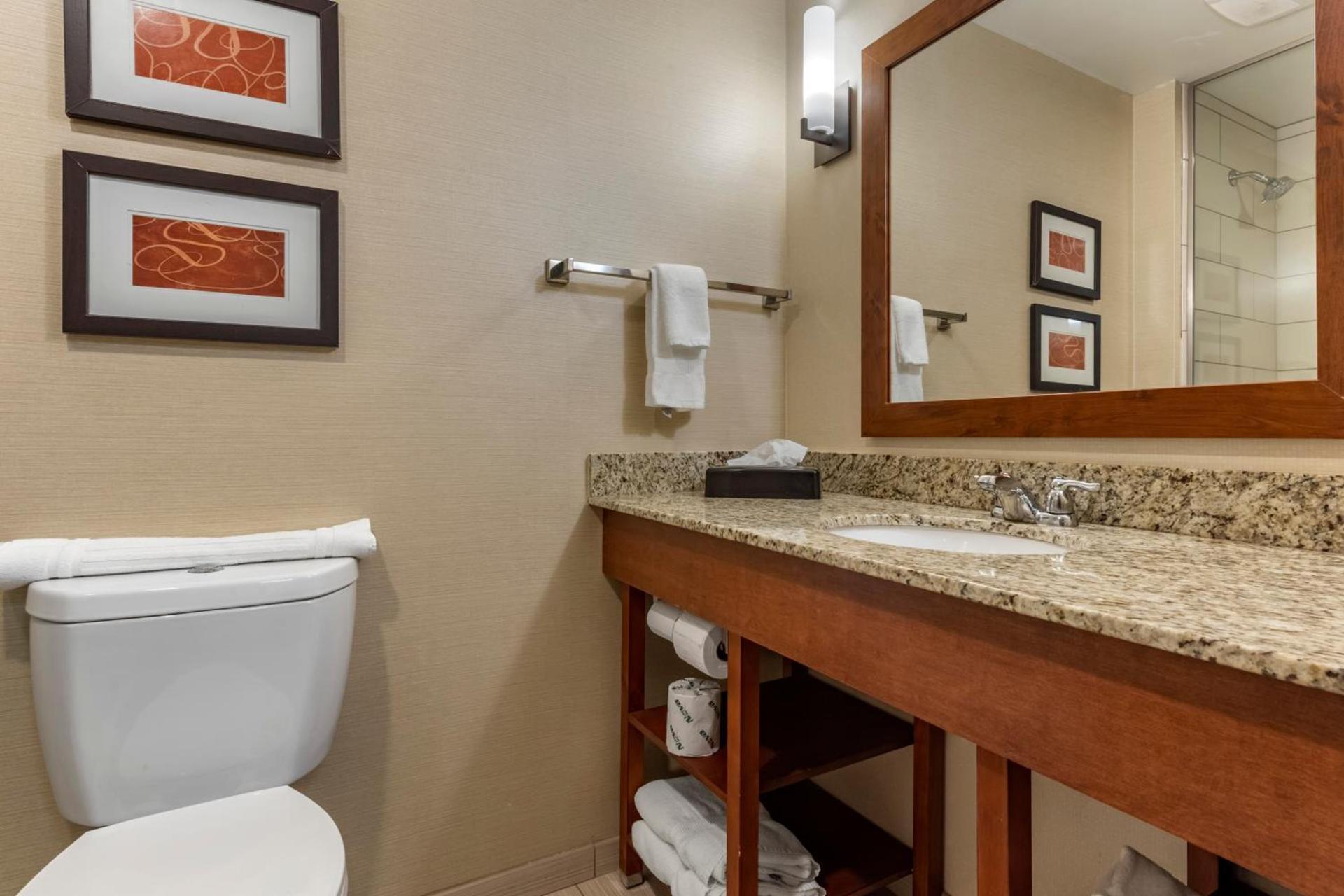 Comfort Suites Bridgeport - Clarksburg photo 47