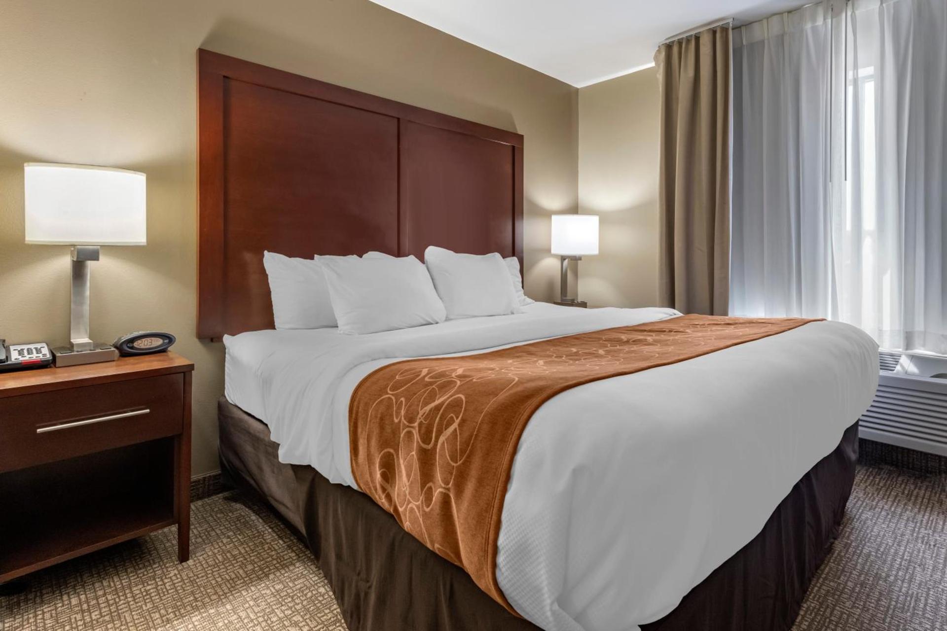 Comfort Suites Bridgeport - Clarksburg photo 42