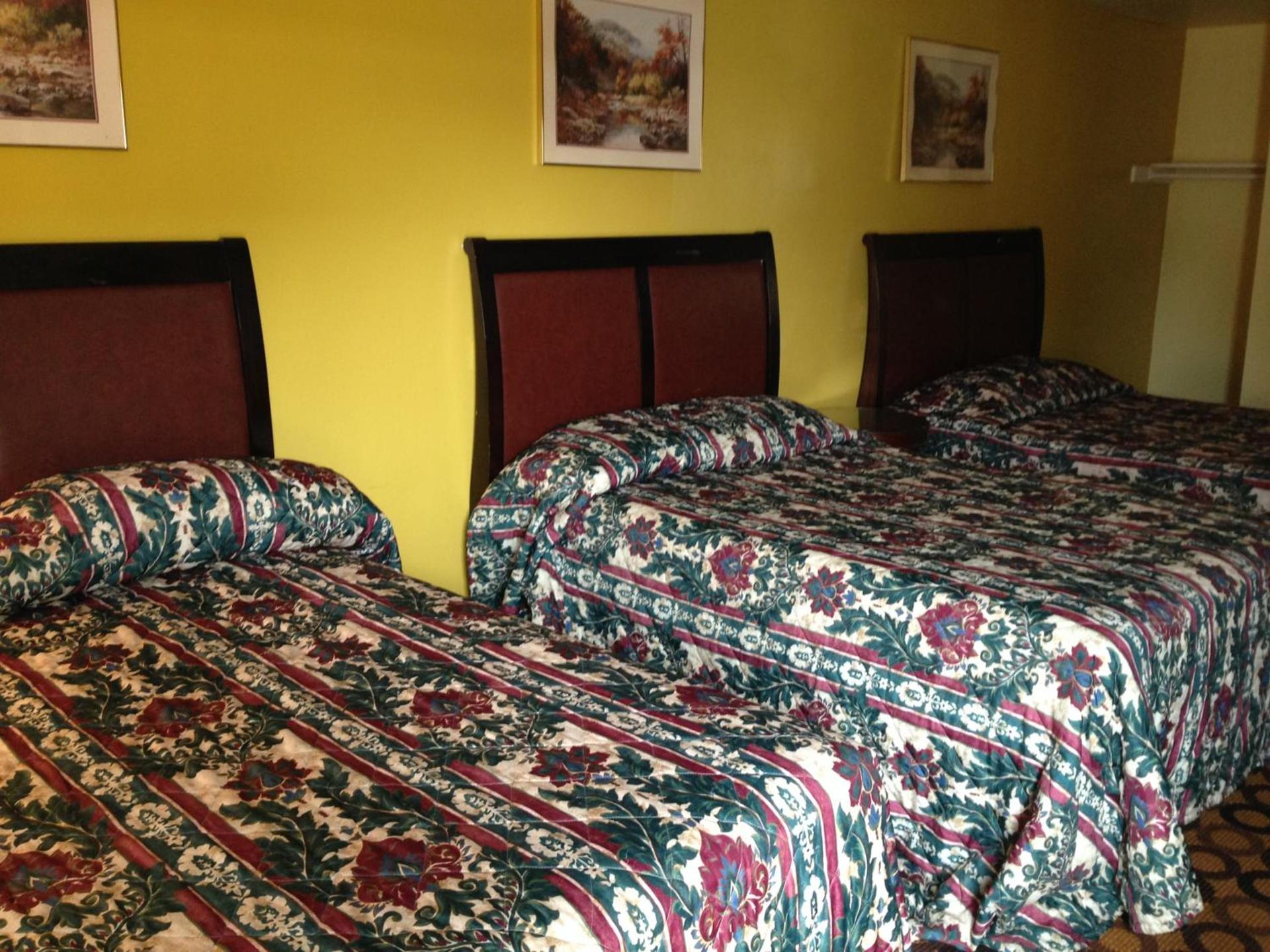 Flamingo Inn photo 2