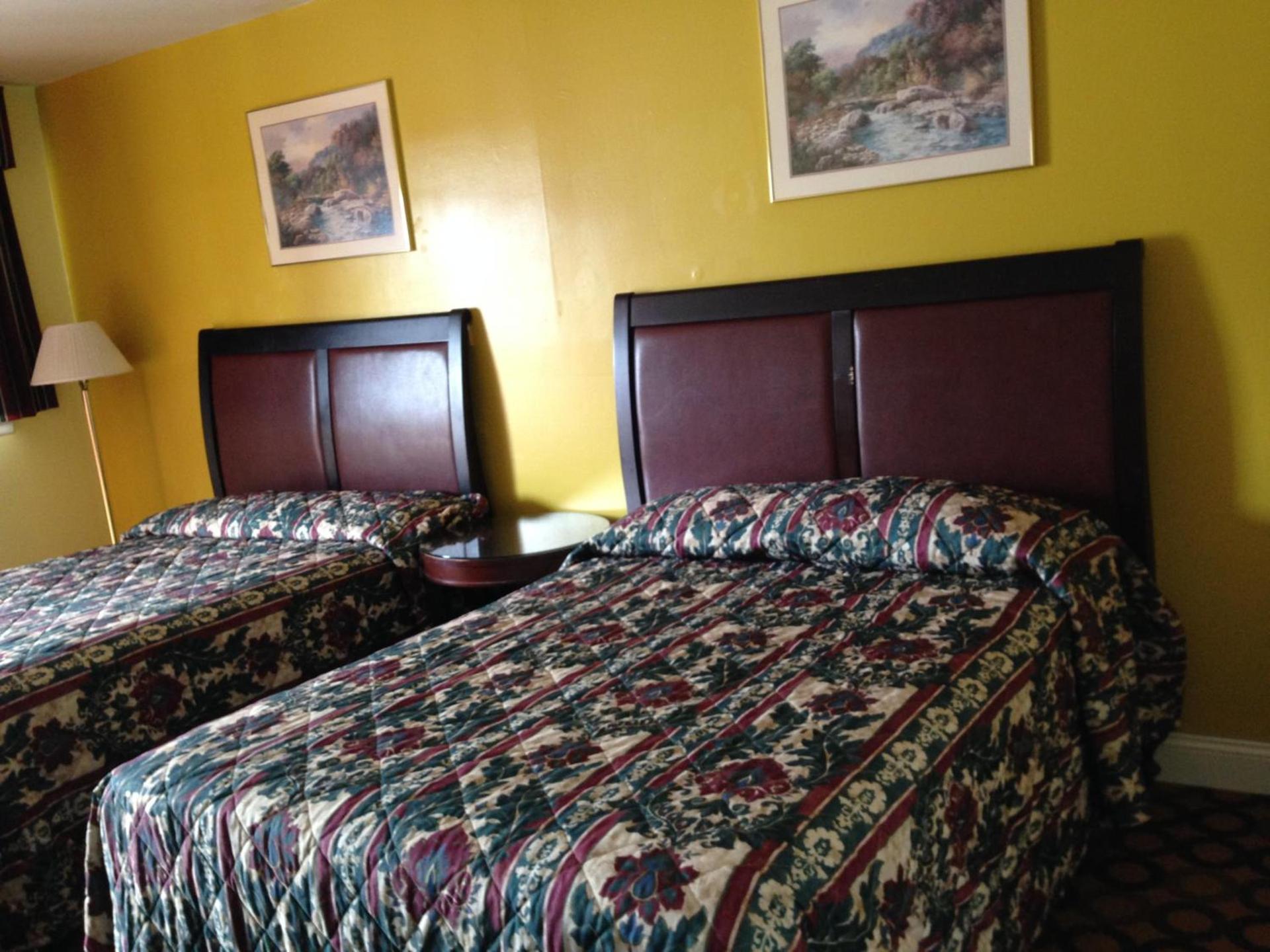Flamingo Inn photo 12