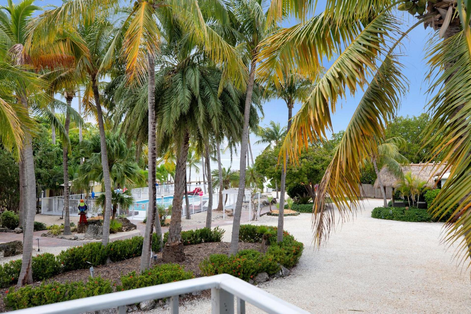 Atlantic Bay Resort photo 48